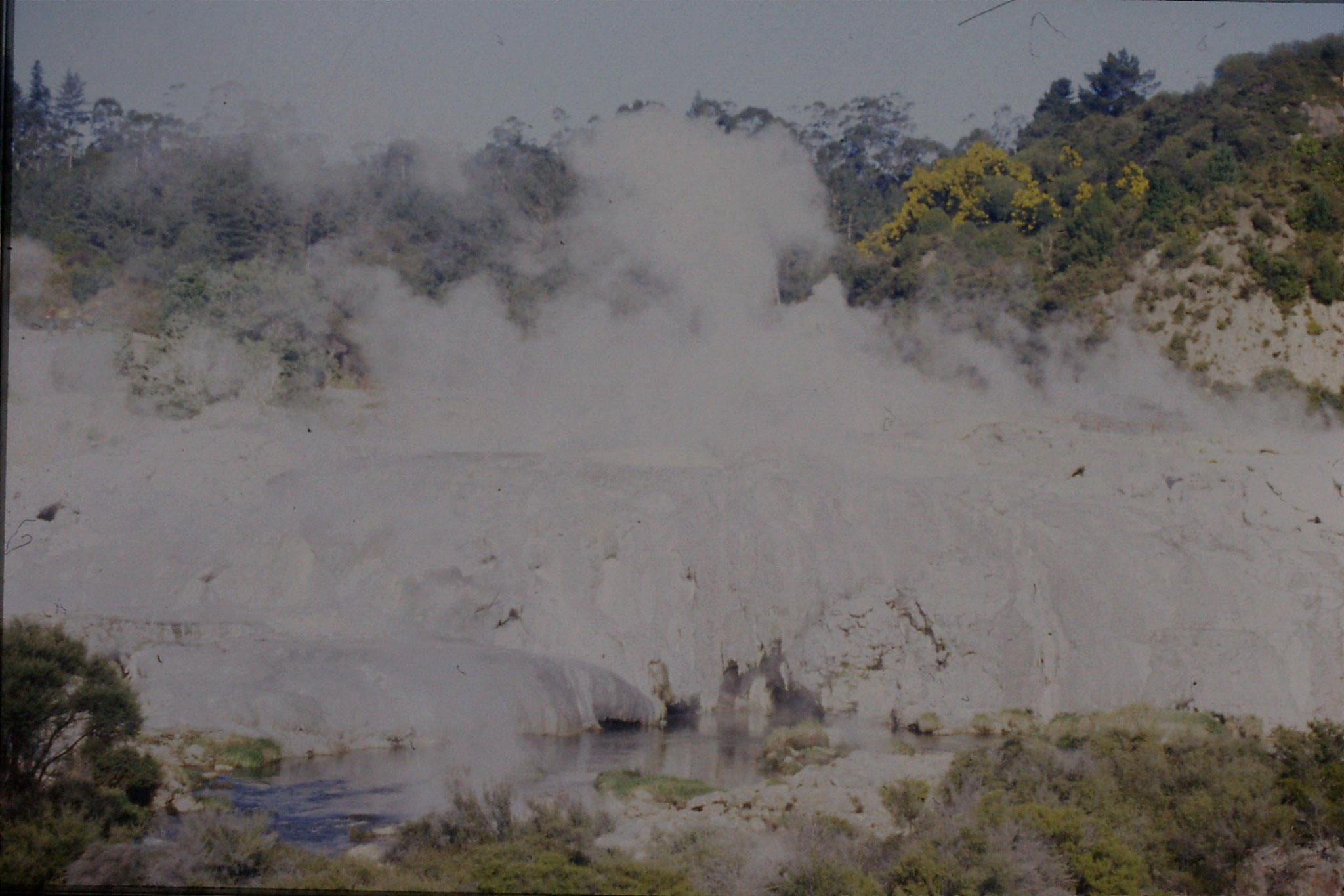 31/8/1990: 35: Rotorua Whakarewarewa