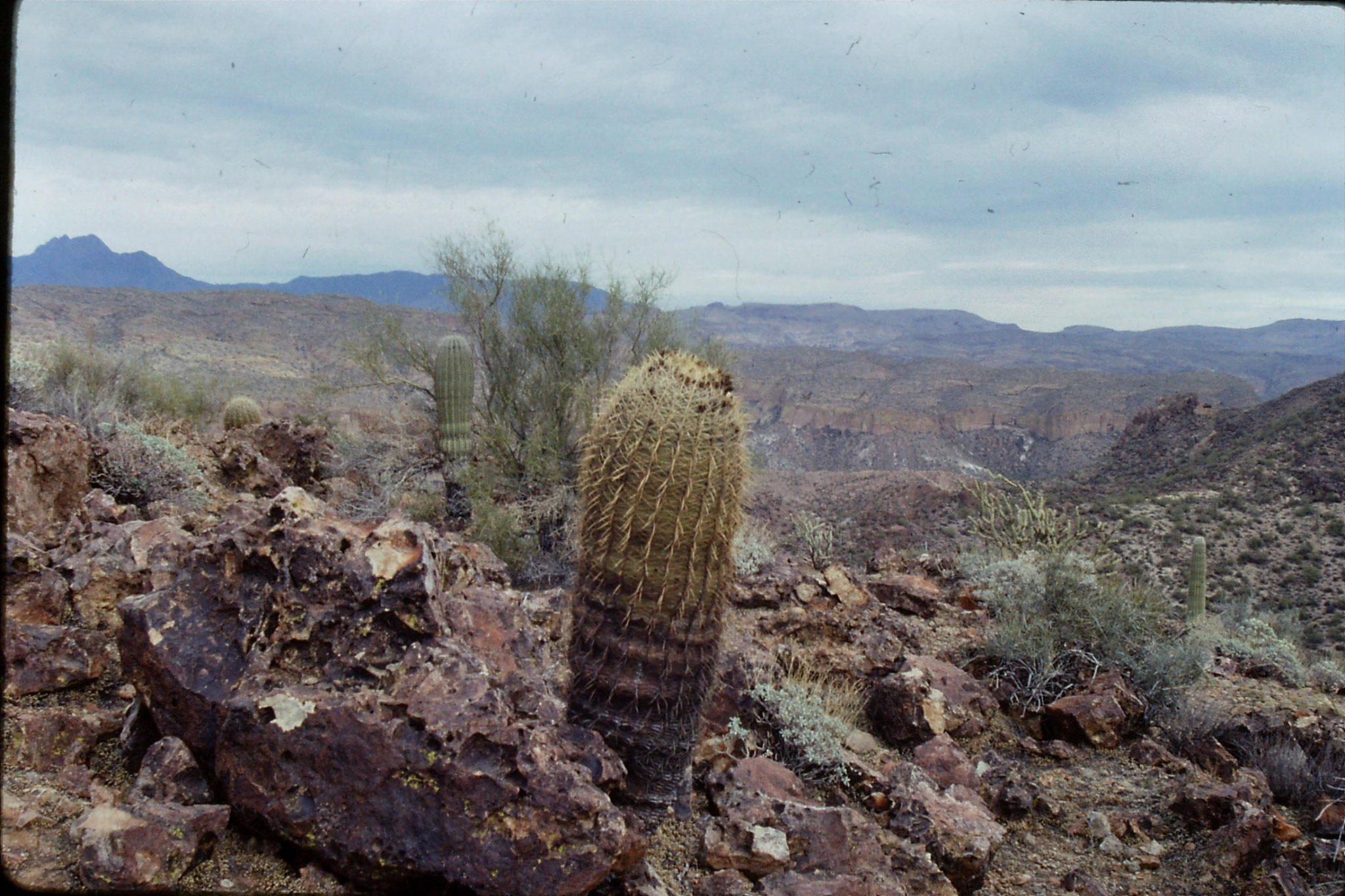 13/12/1990: 9: Phoenix, looking east over top of Canyon Lake