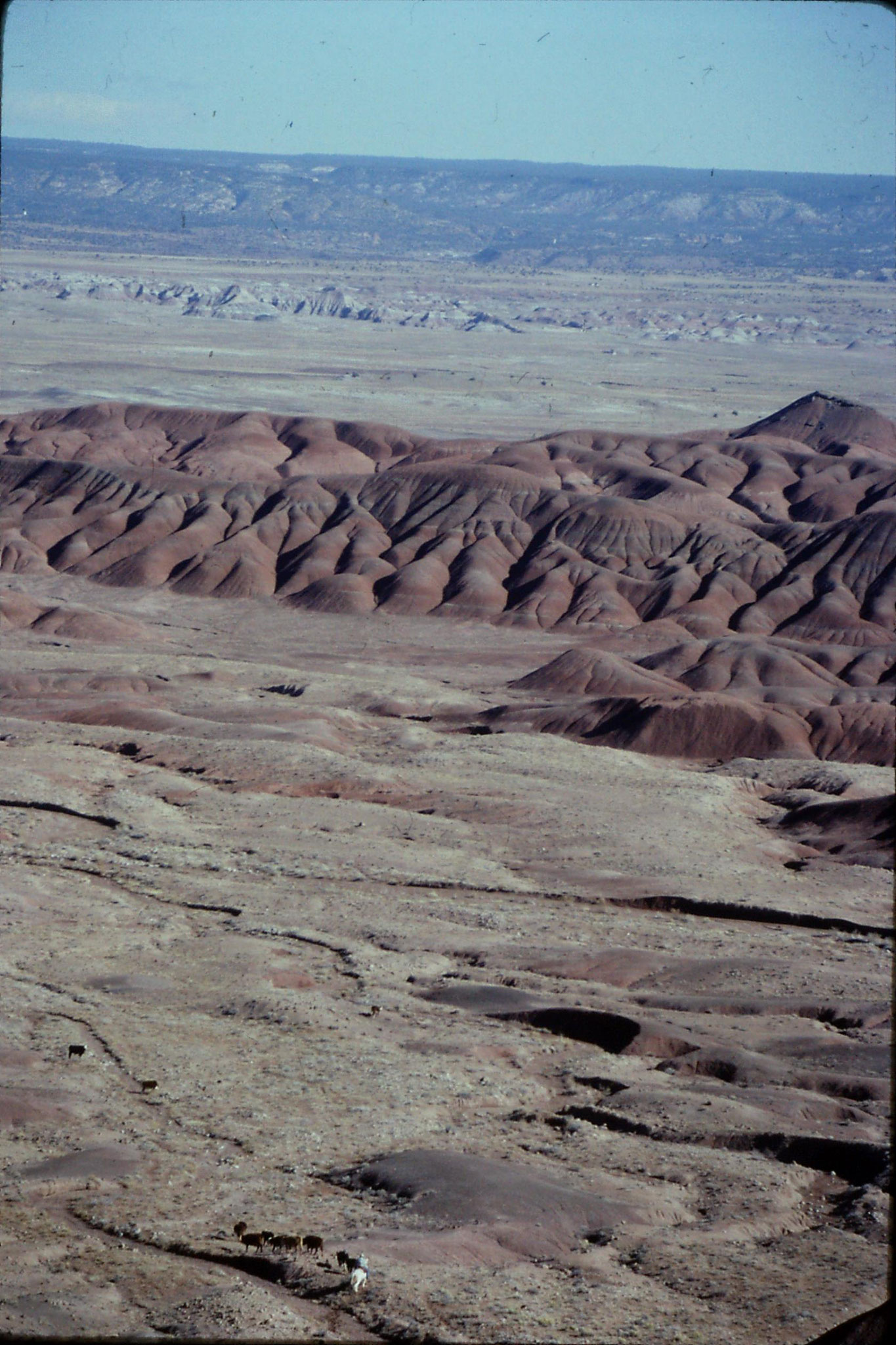 14/12/1990: 20: Beautiful Valley nr Ganado