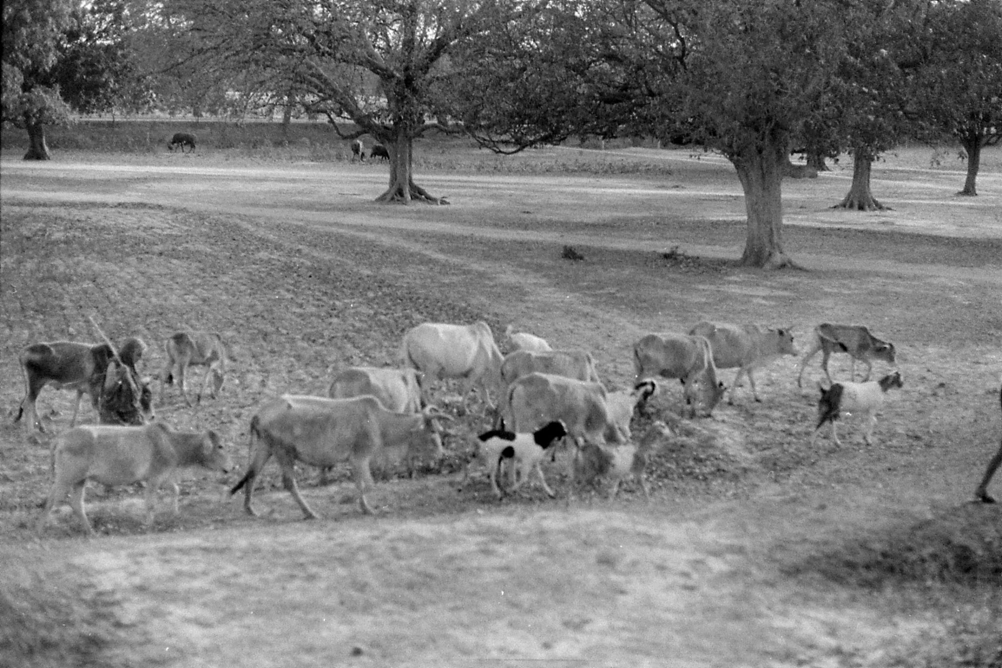 6/4/1990: 8: East of Allahabad