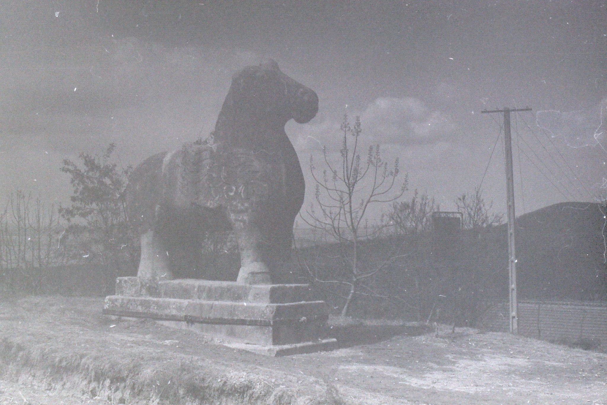 7/3/1989: 24: Xianyang stone winged horses