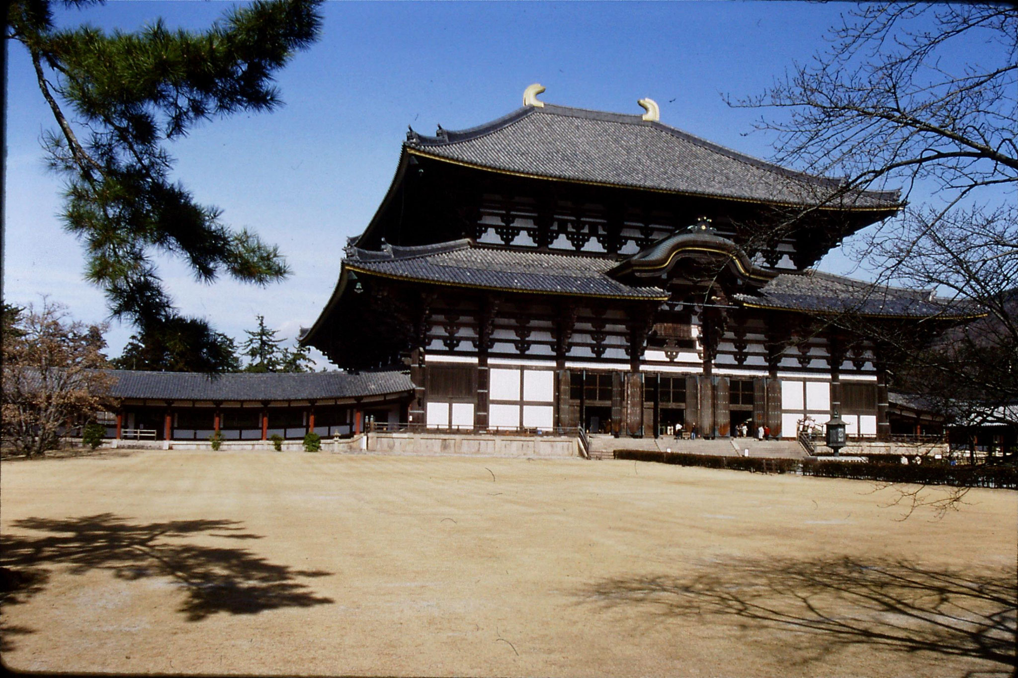 25/1/1989: 32: Nara Todaiji