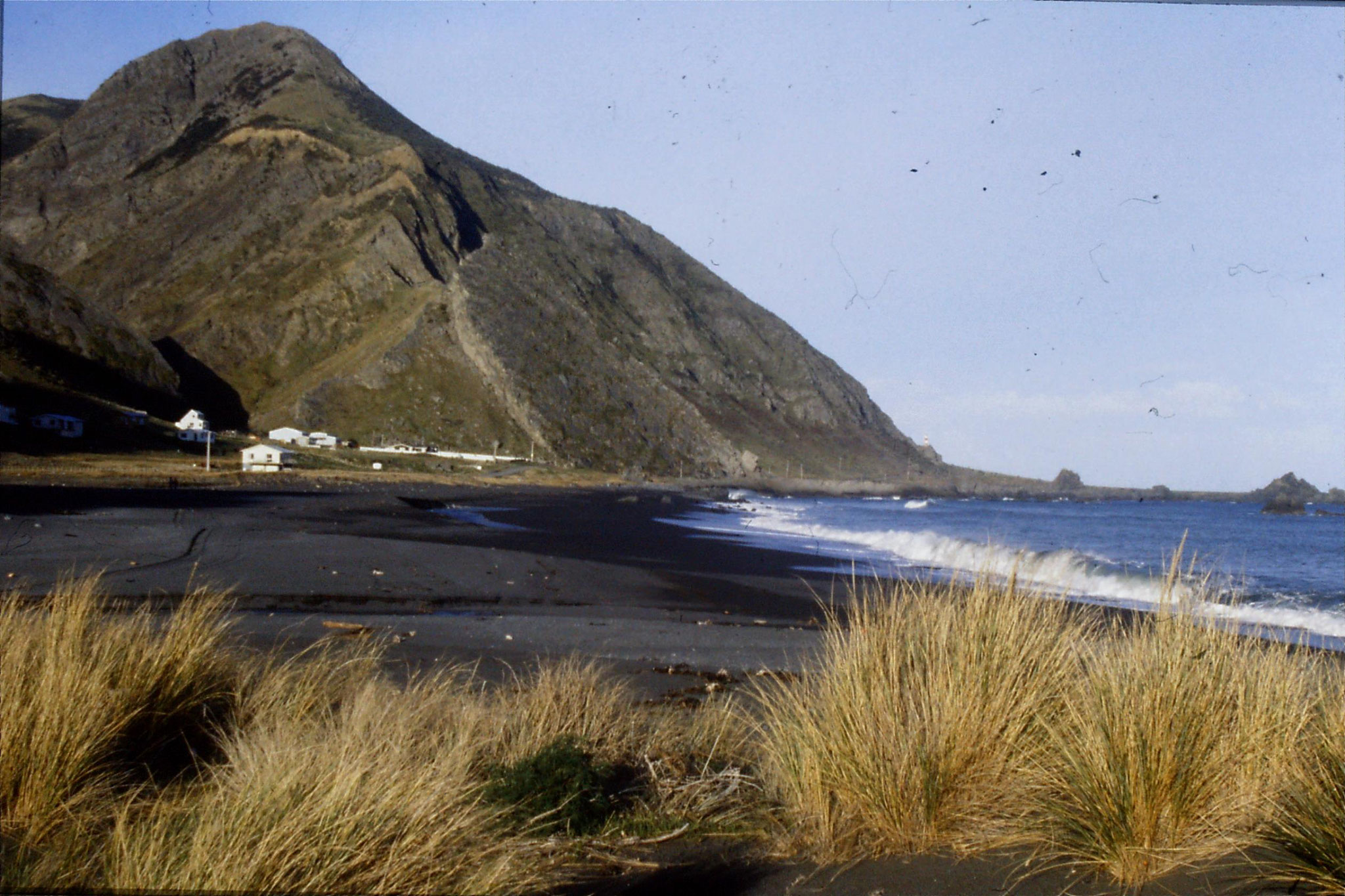 26/8/1990: 13:  Cape Palliser