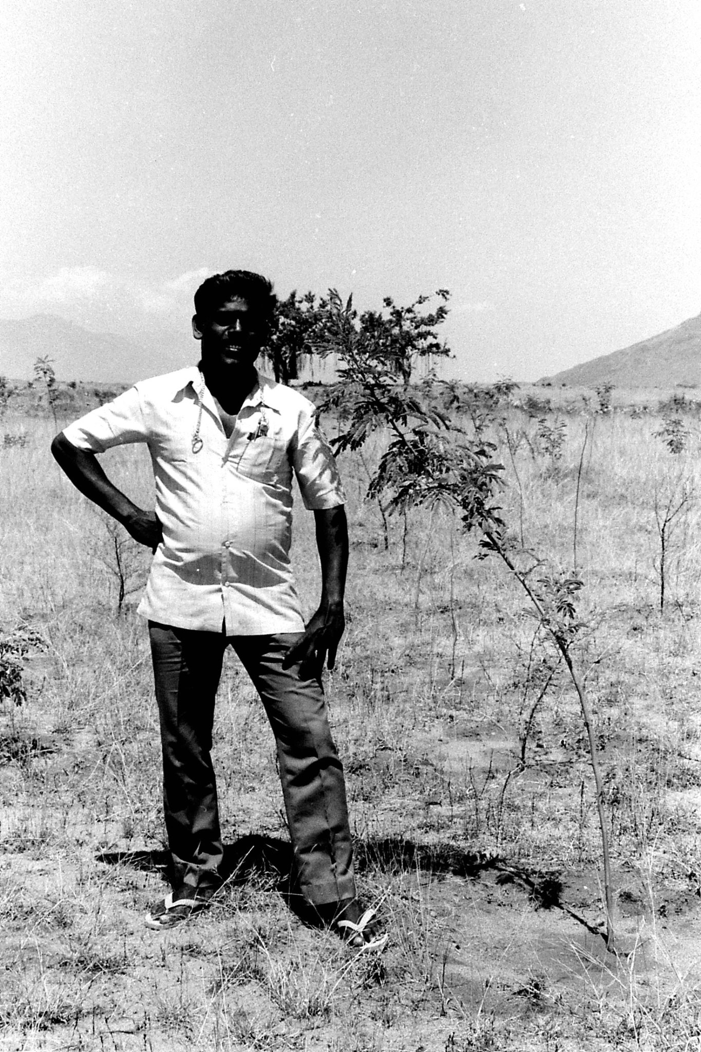 21/2/1990: 21: Batlagundi afforestation project