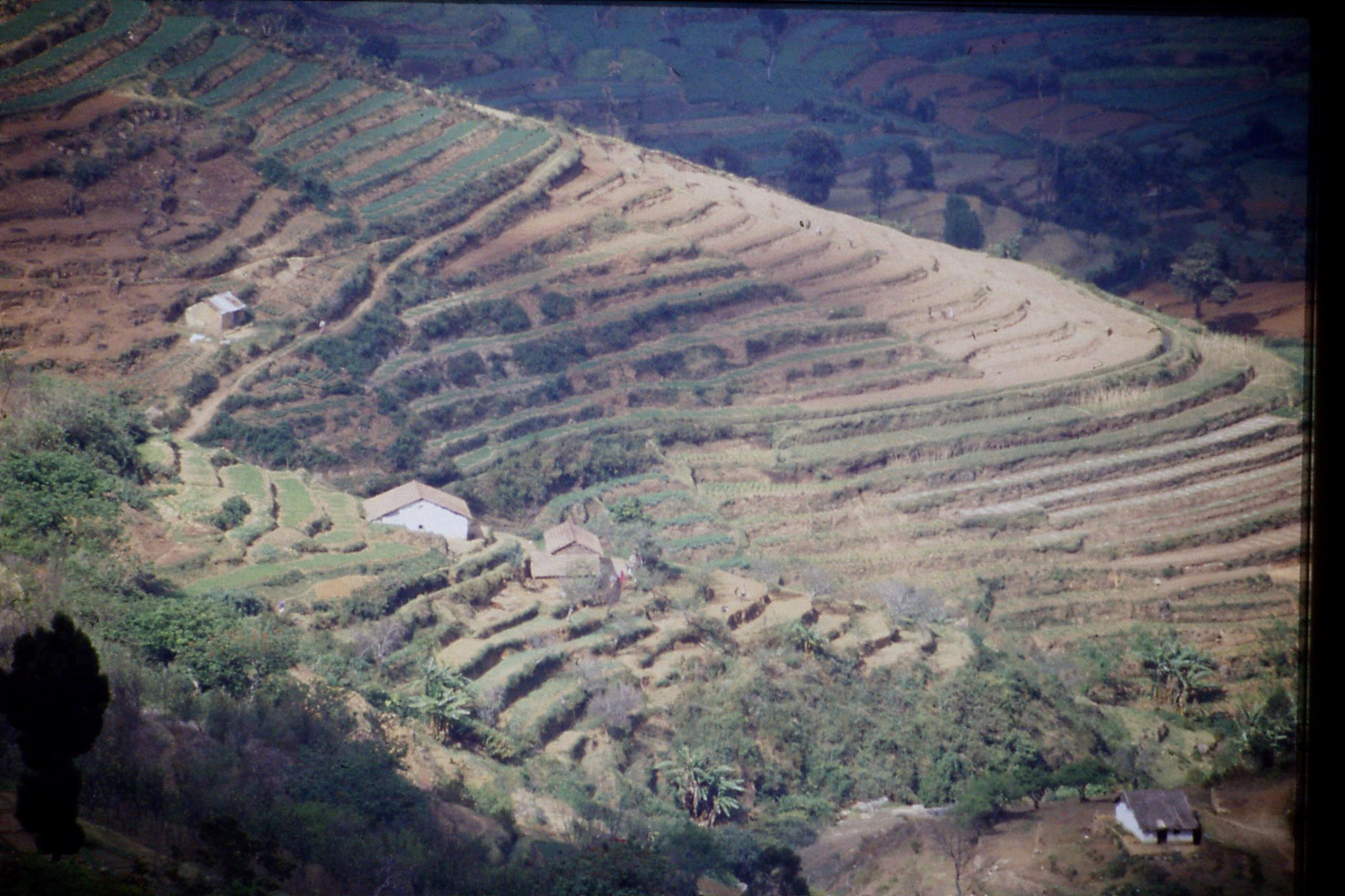 104/25: 20/2/1990 Vilpatti village and surroundings from Kodai road