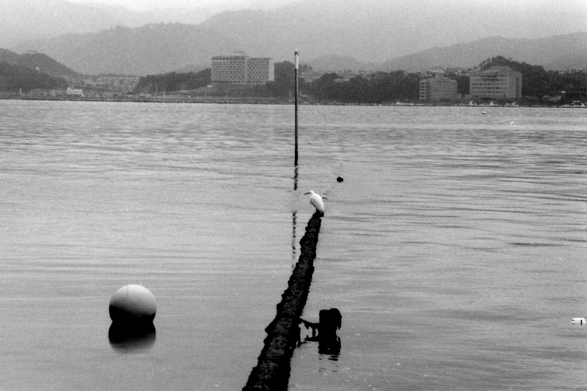 23/1/1989: 34: Miyajima