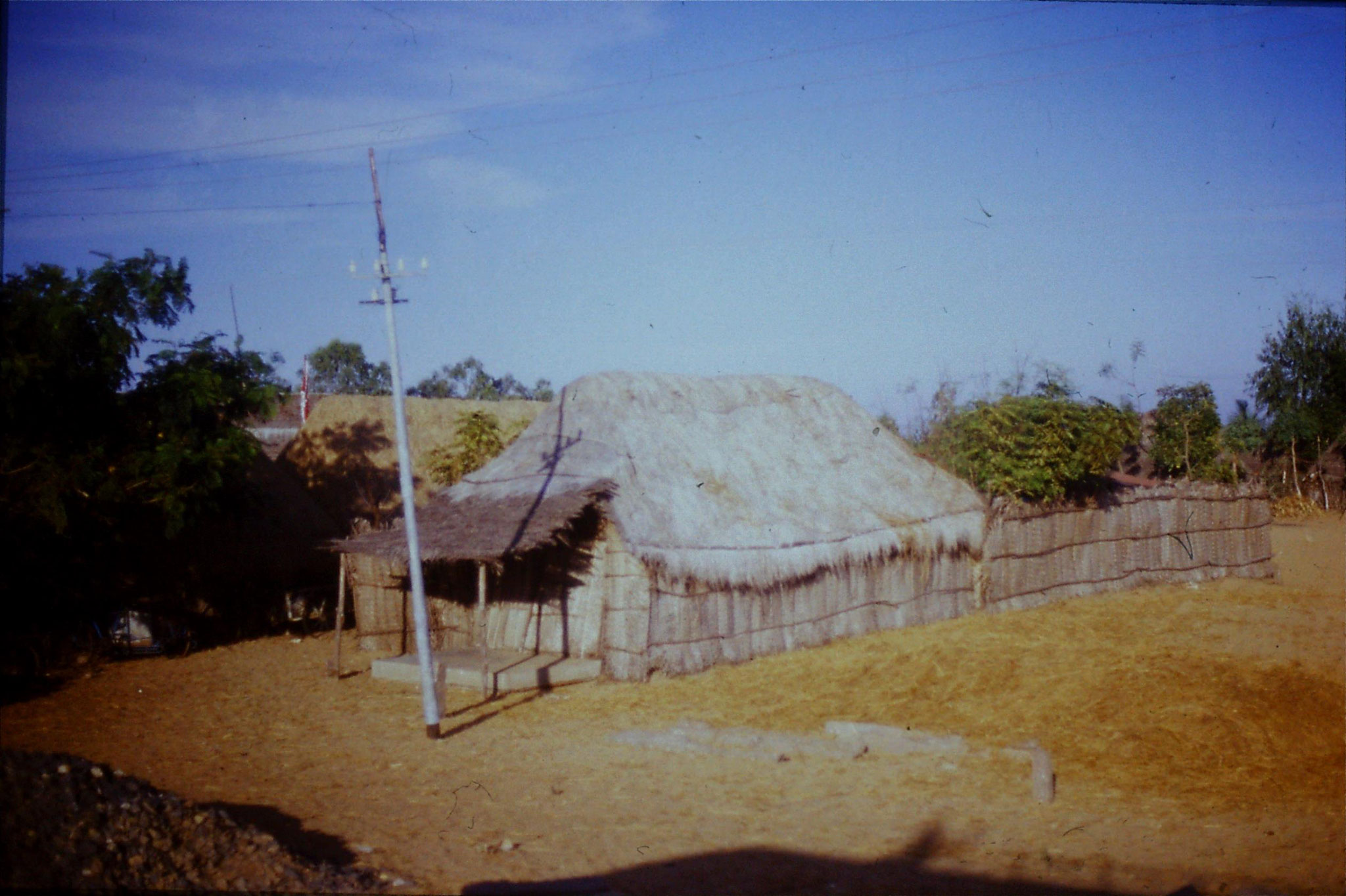 19/1/1990: 25: on road south of Madras, typical thatched house