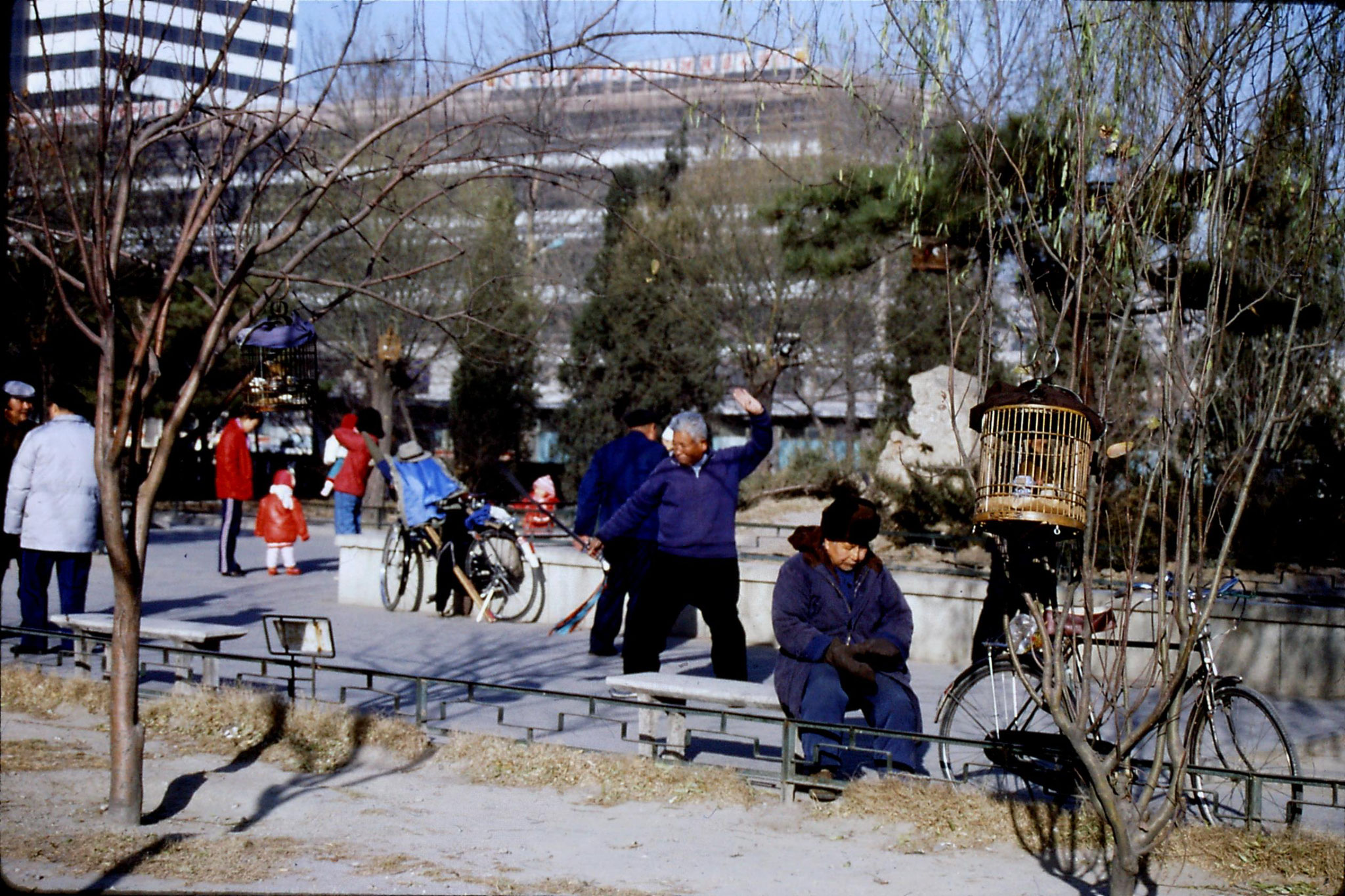 5/12/1988: 16: bird cages near China Photo