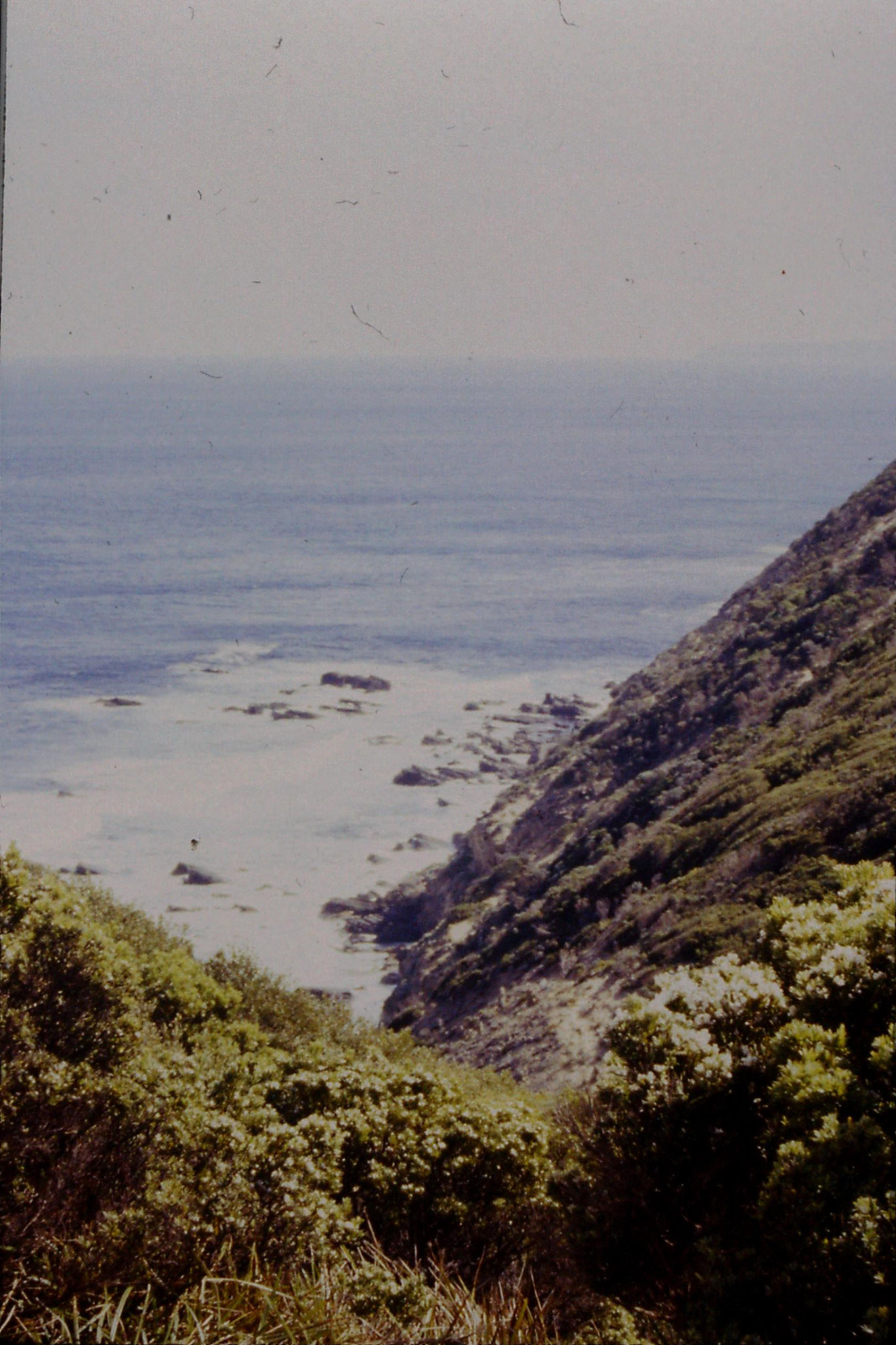 19/9/1990: 23: west from Cape Otway