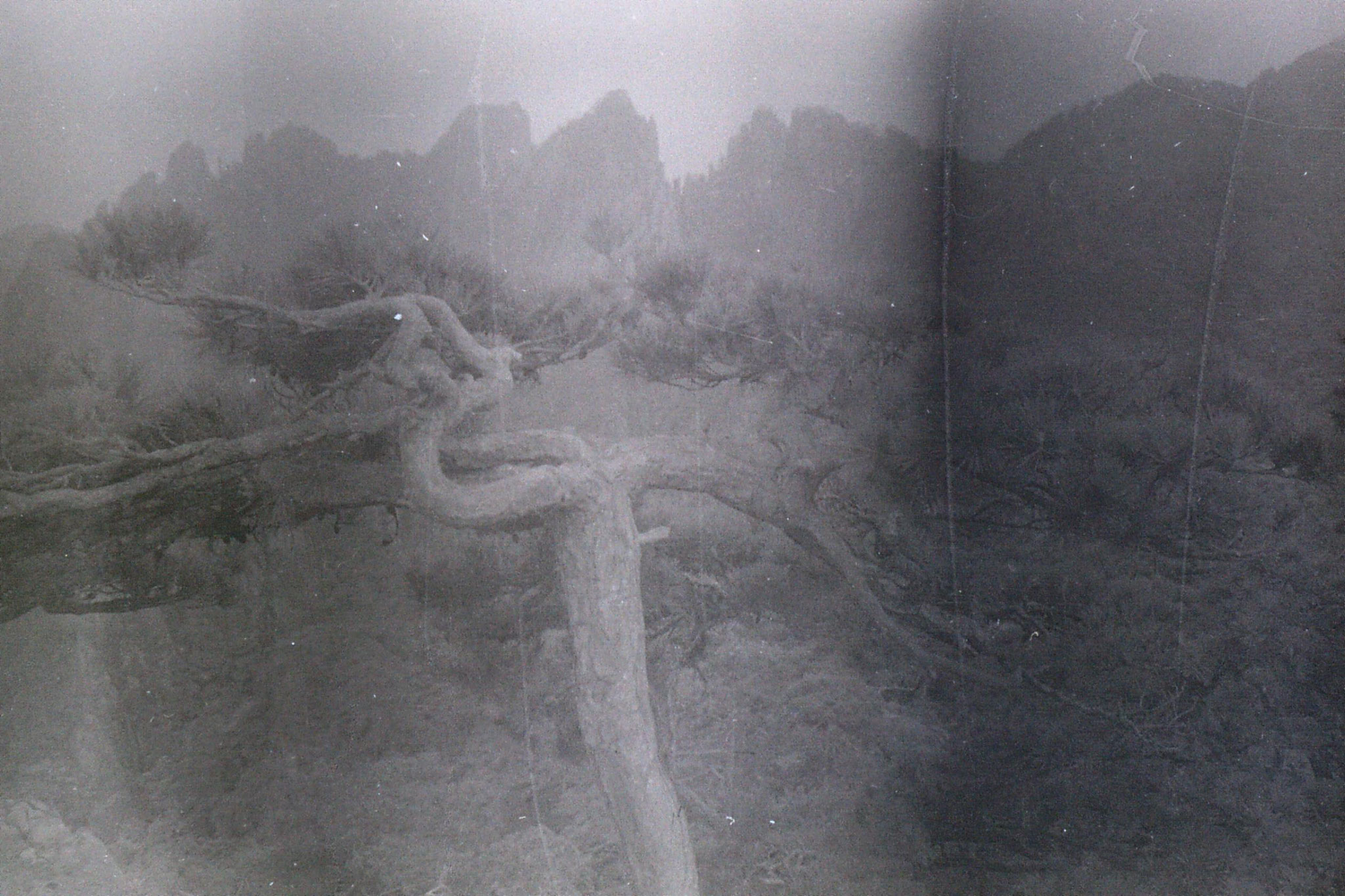 3/8/1989: 9: Huang Shan nr Beilai Hotel