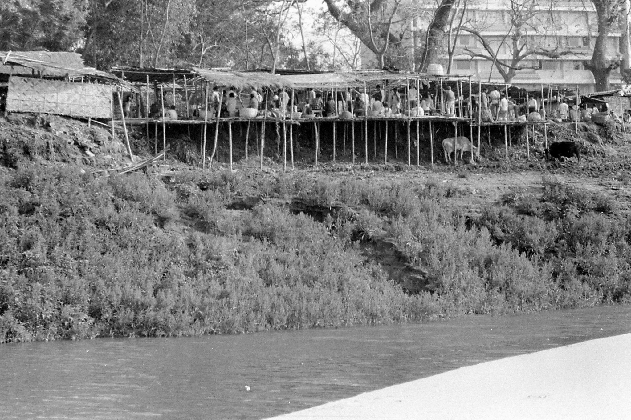 10/4/1990: 33: Gauhati, Brahmaputra River, market