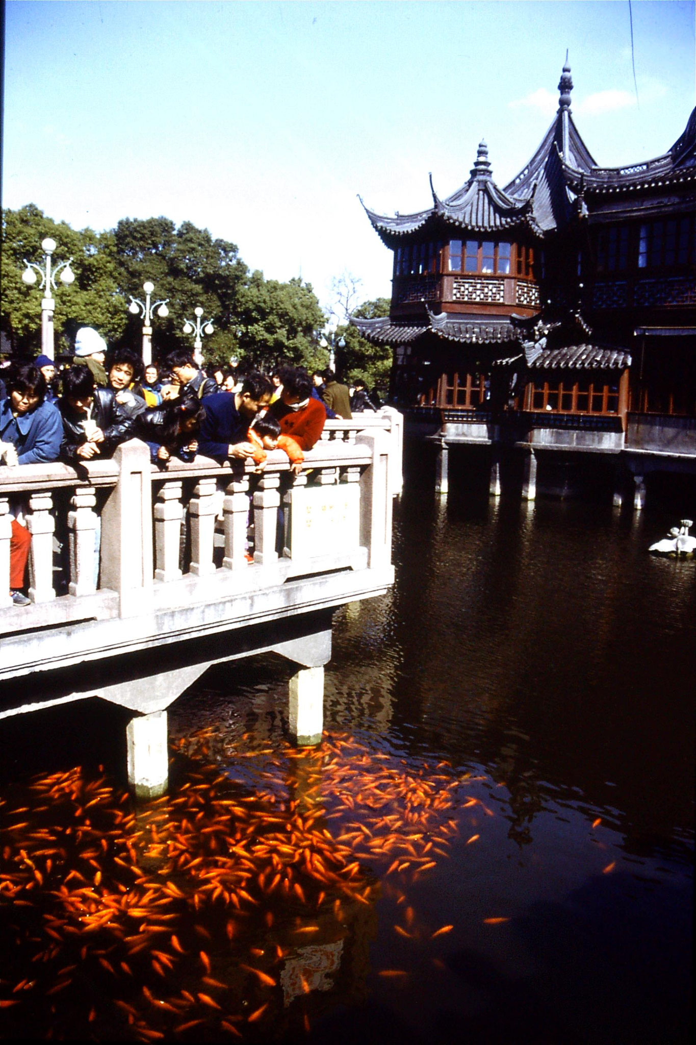 10/2/1989: 32: Yuyuan Gardens