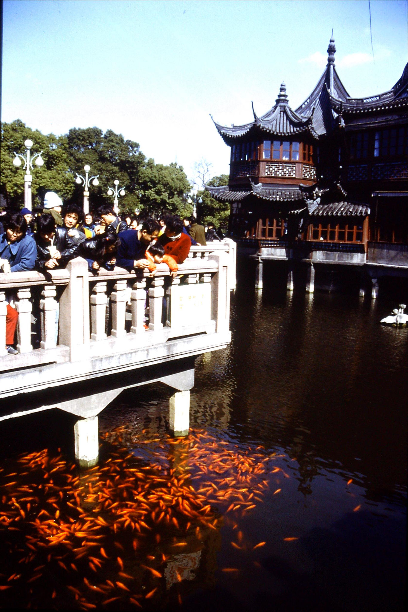 10/2/1989: 32: Yuyuan Gardens