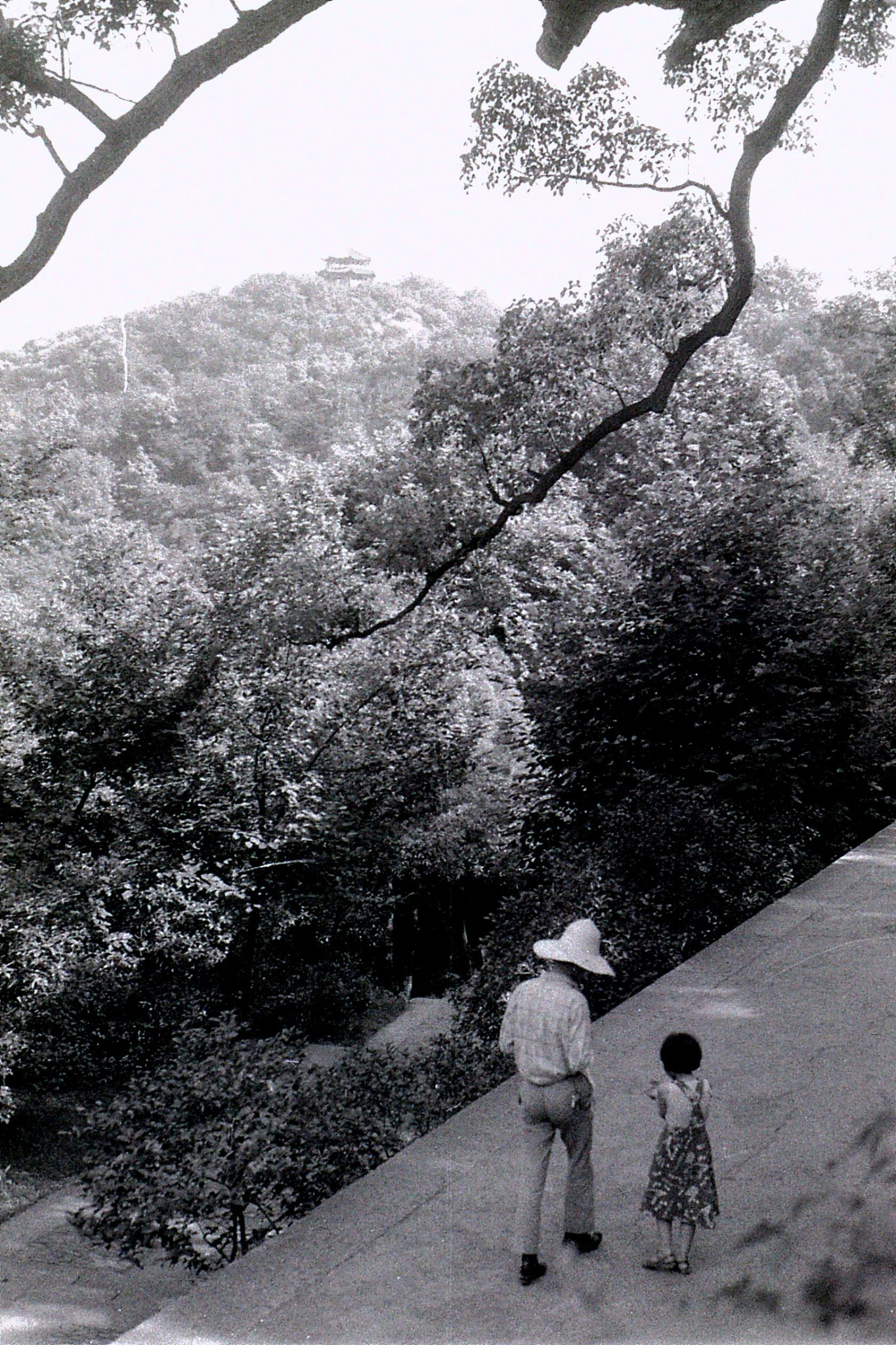 24/6/1989: 10@ pagoda near Wu Shan