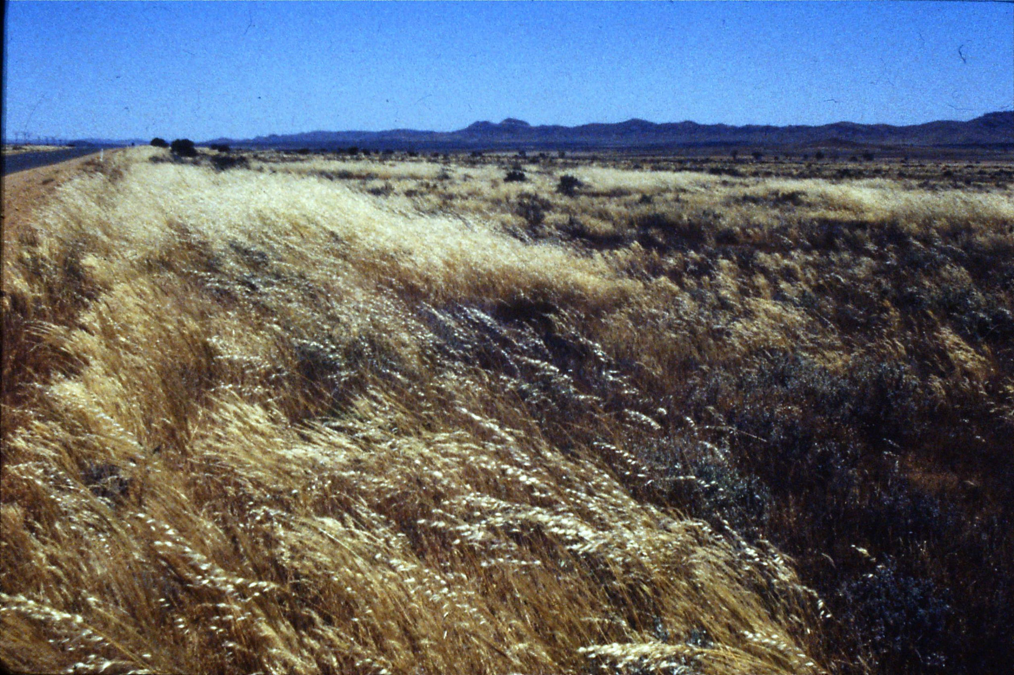 5/11/1990: 27: on road in South Australia