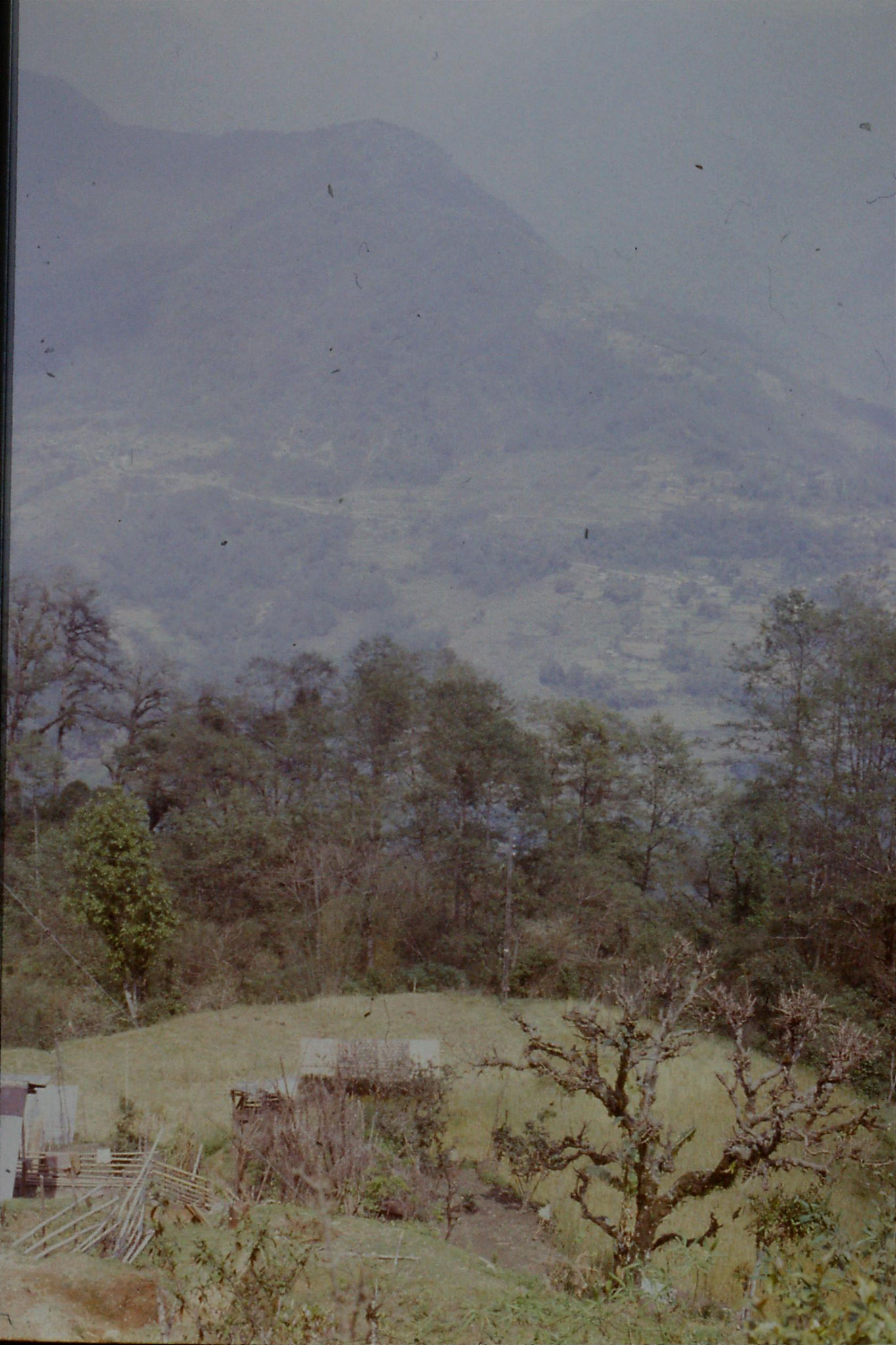 115/23: 25/4/1990 Phodang - villages and terraces from Phodang