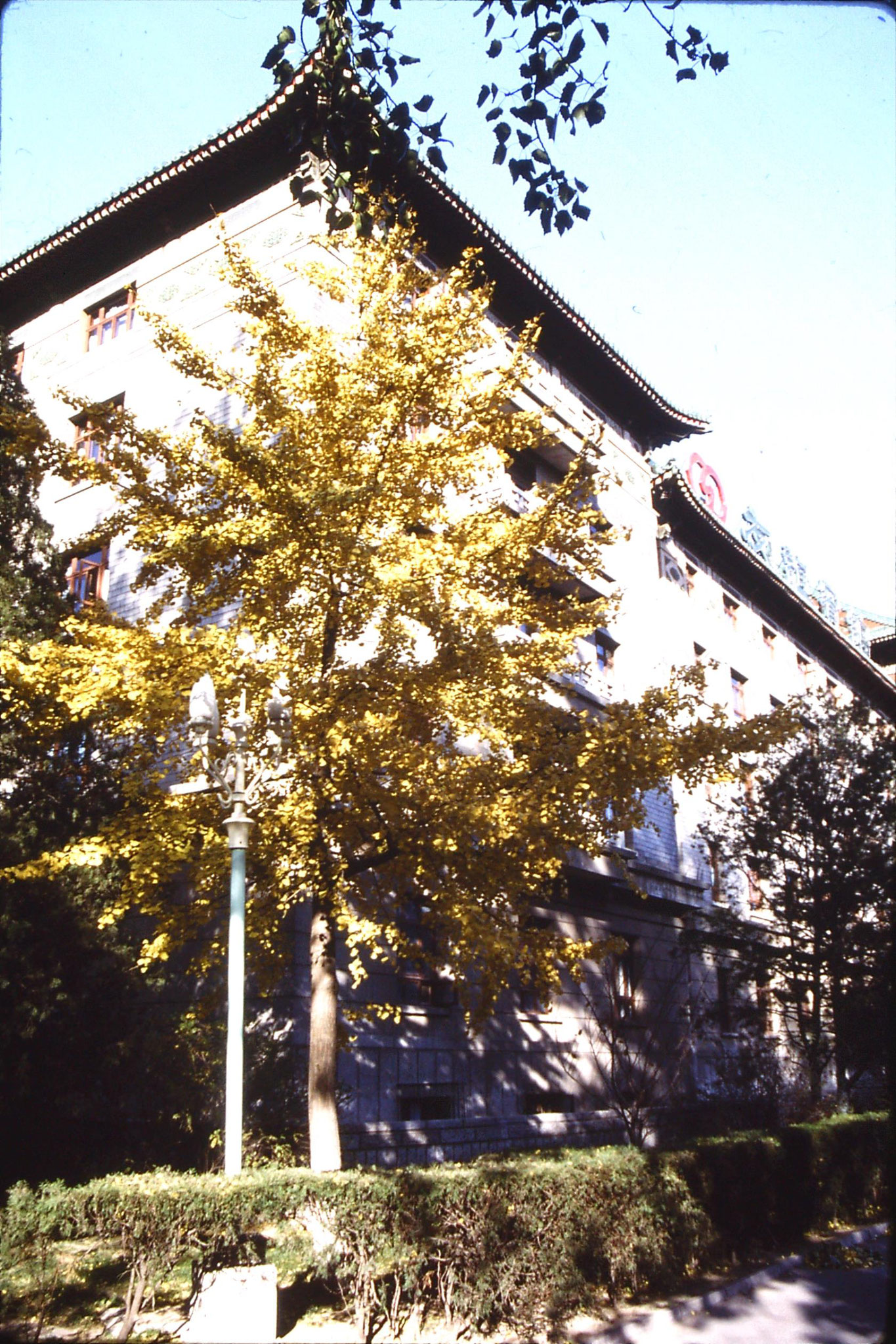 6/11/1988: 37: Beijing Friendship Hotel 