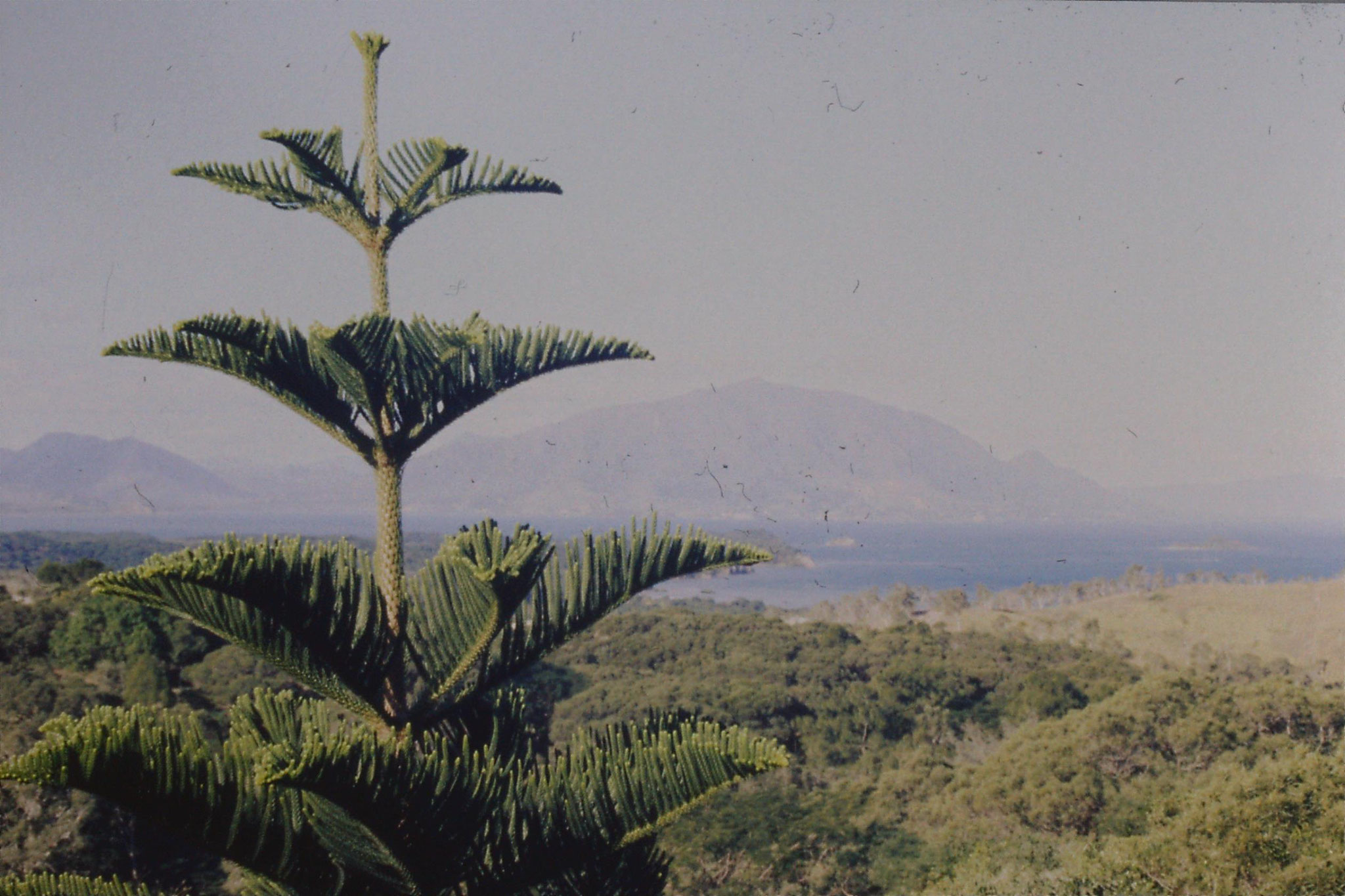 19/7/1990: 11: Noumea looking east from Parc Forestier