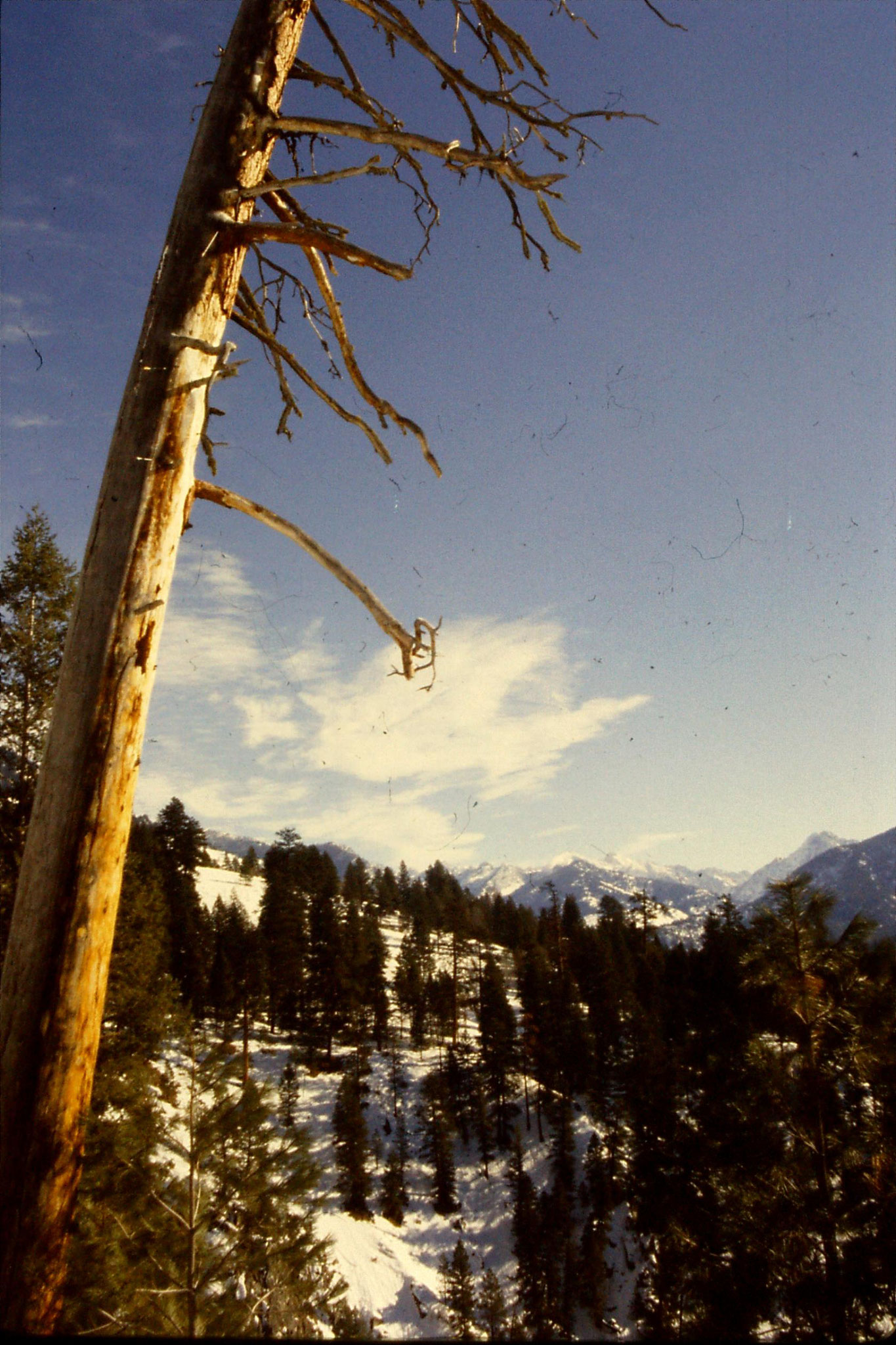 26/1/1991: 3: Red Fish Lake