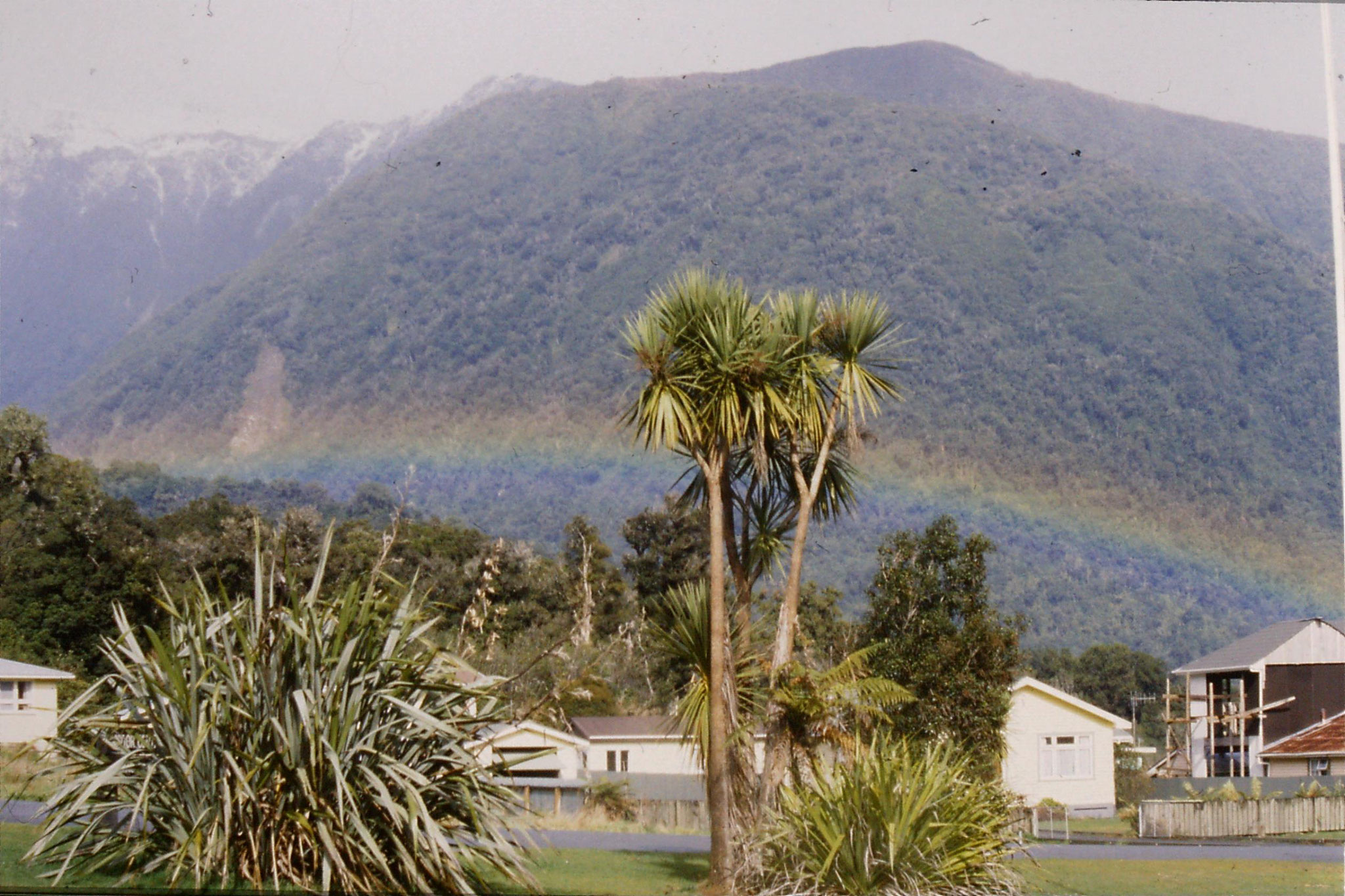 22/8/1990: 28: Fox Glacier