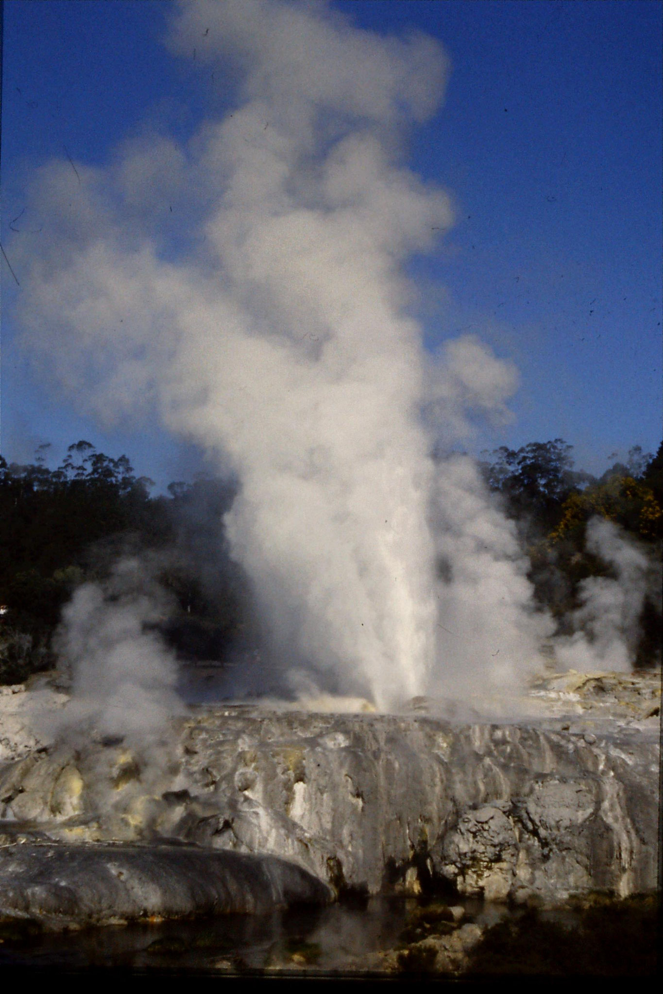 31/8/1990: 36: Rotorua Whakarewarewa