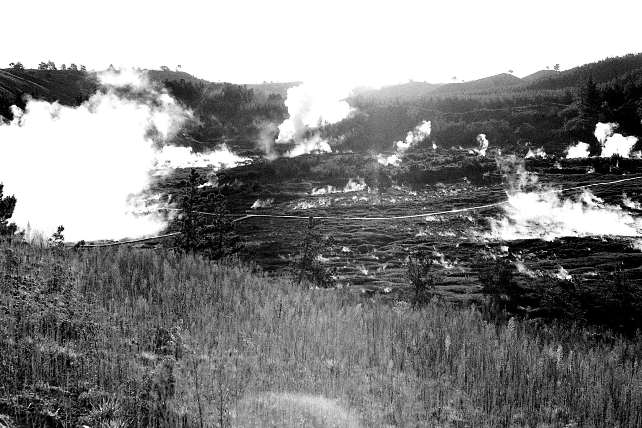 30/8/1990: 4: craters of the moon n. of Taupo