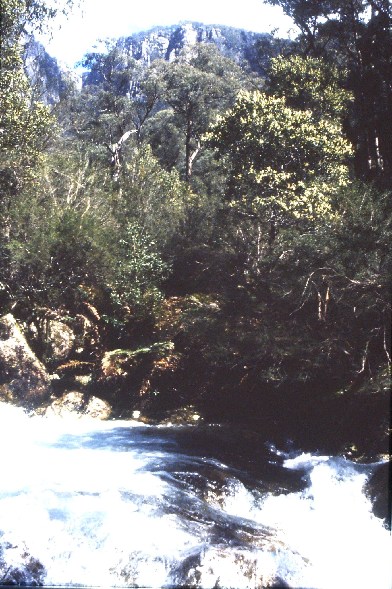 28/9/1990: 32: Mt Buffalo water falls (Crystal Brook Falls at top)