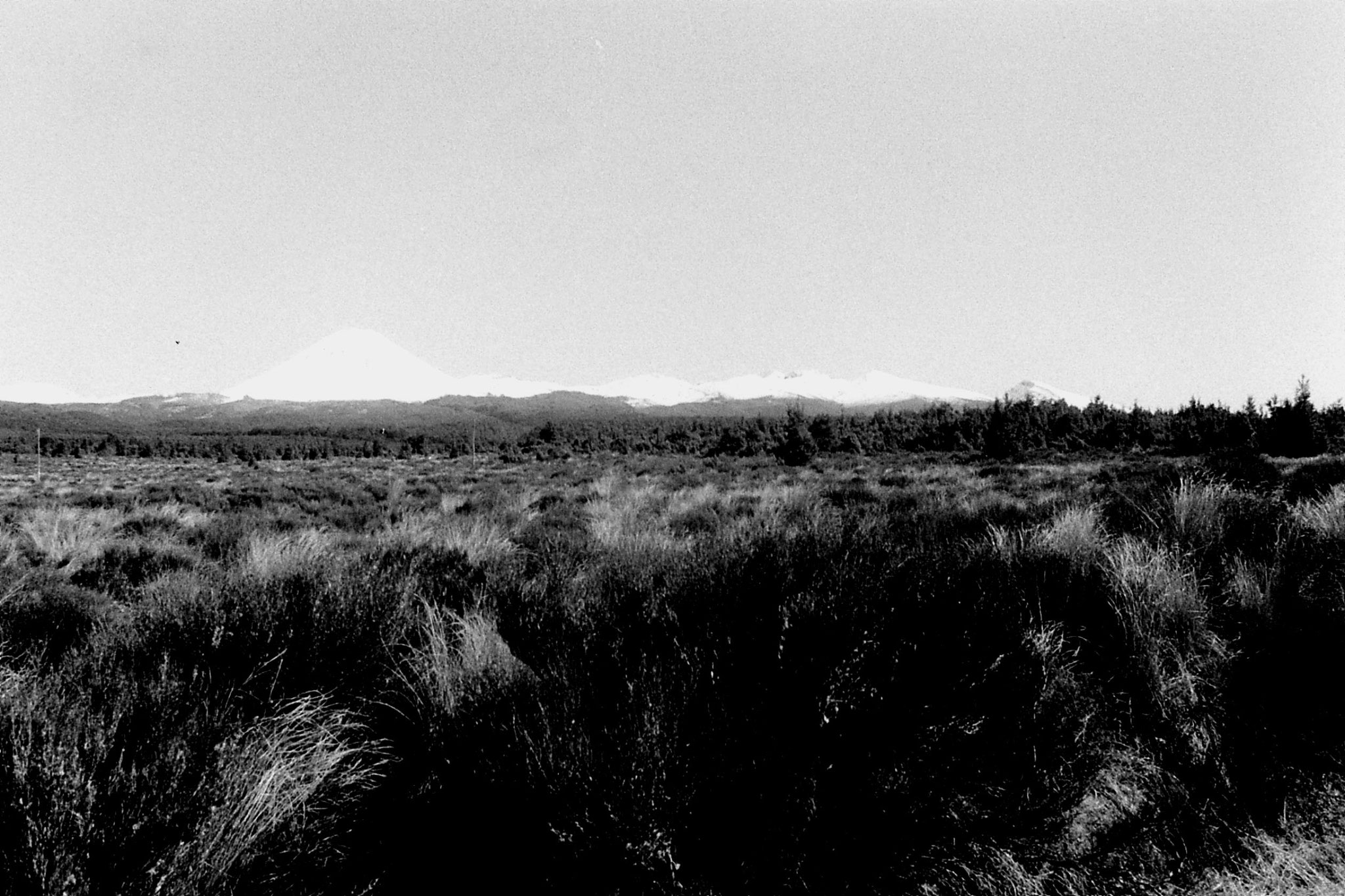 30/8/1990: 2: Ruapehu, Near & Tang.. panorama