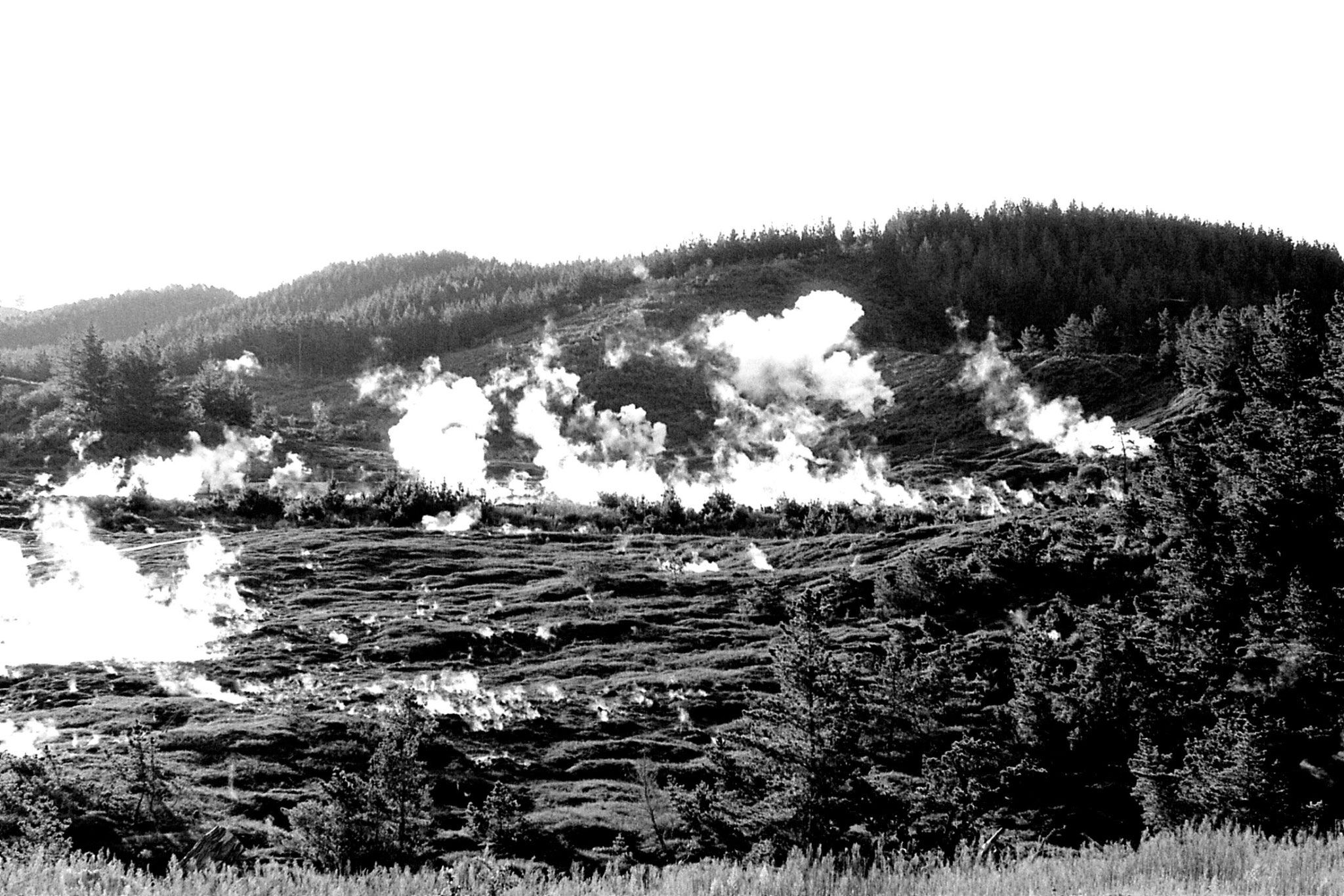 30/8/1990: 3: craters of the moon n. of Taupo