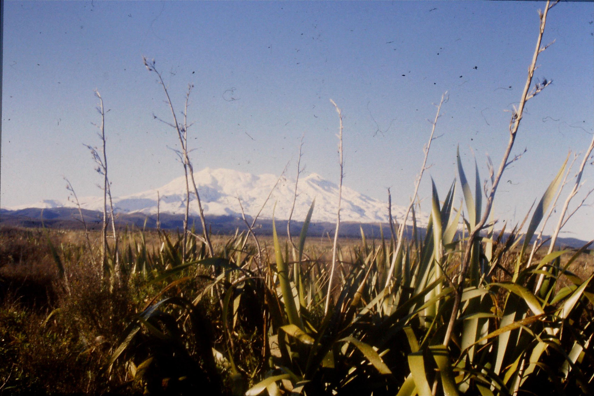 30/8/1990: 8: Mt Ruapehu from west