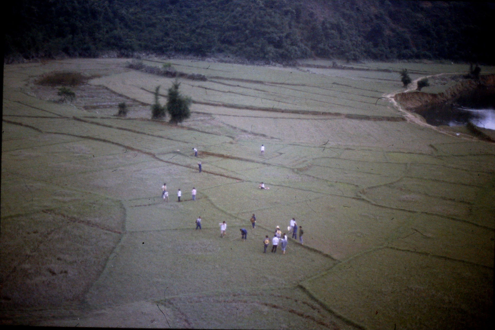 20/5/1989: 17: Guangzhou to Hangzhou, 