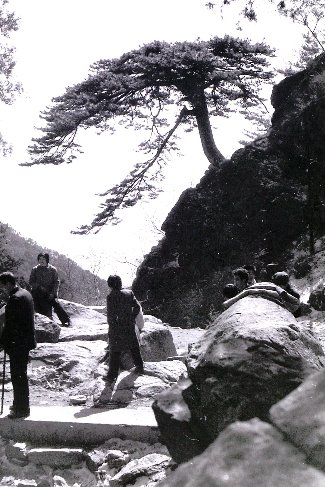 18/2/1989: 14: Taishan: 'Welcome Pine Tree'