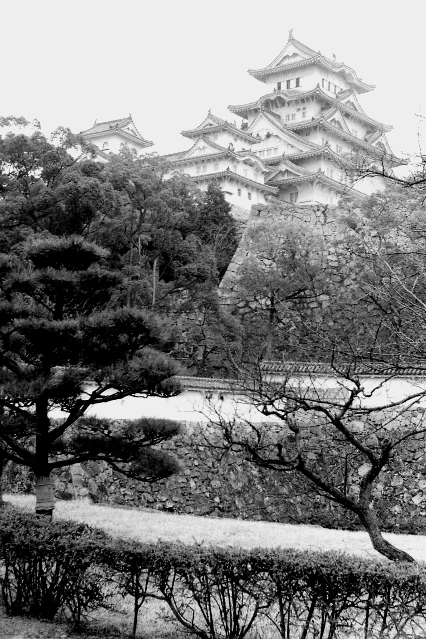 18/1/1989: 13: Himeji Castle