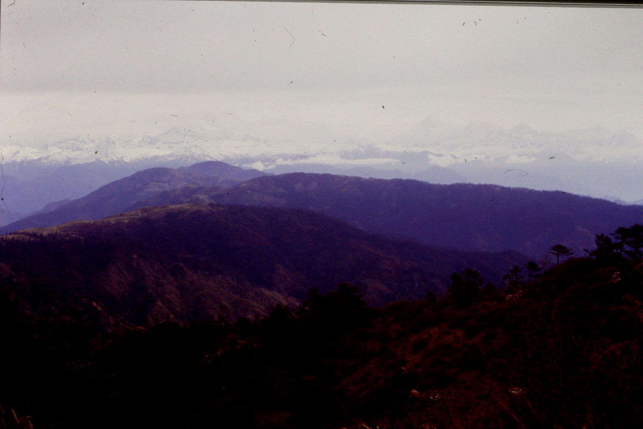 7/5/1990: 9: Sandakpu, view towards Kanchenjunga