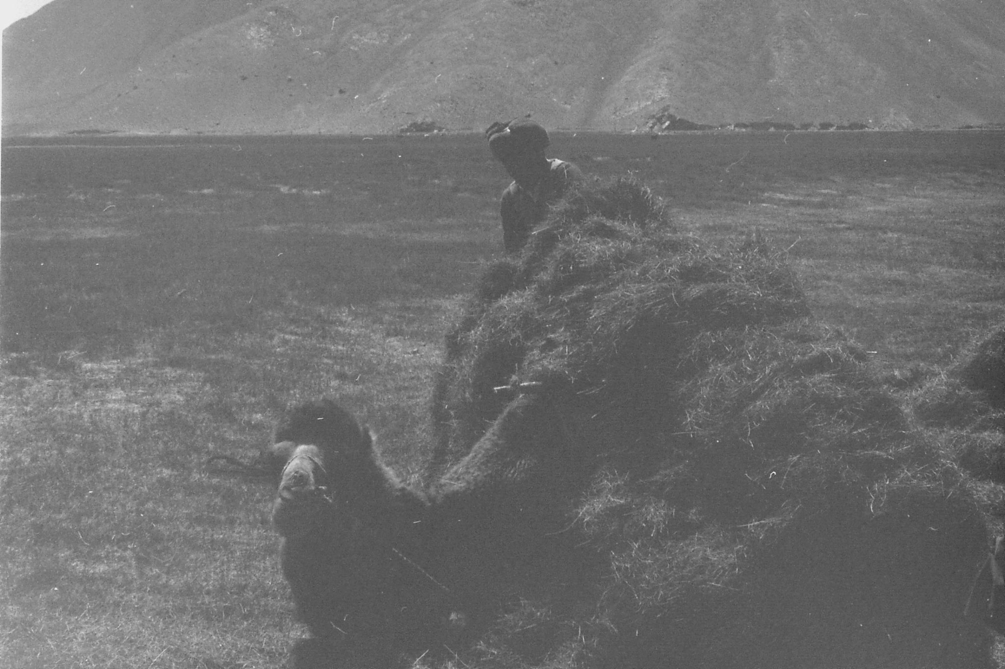 10/9/1989: 9: Lake Karakul