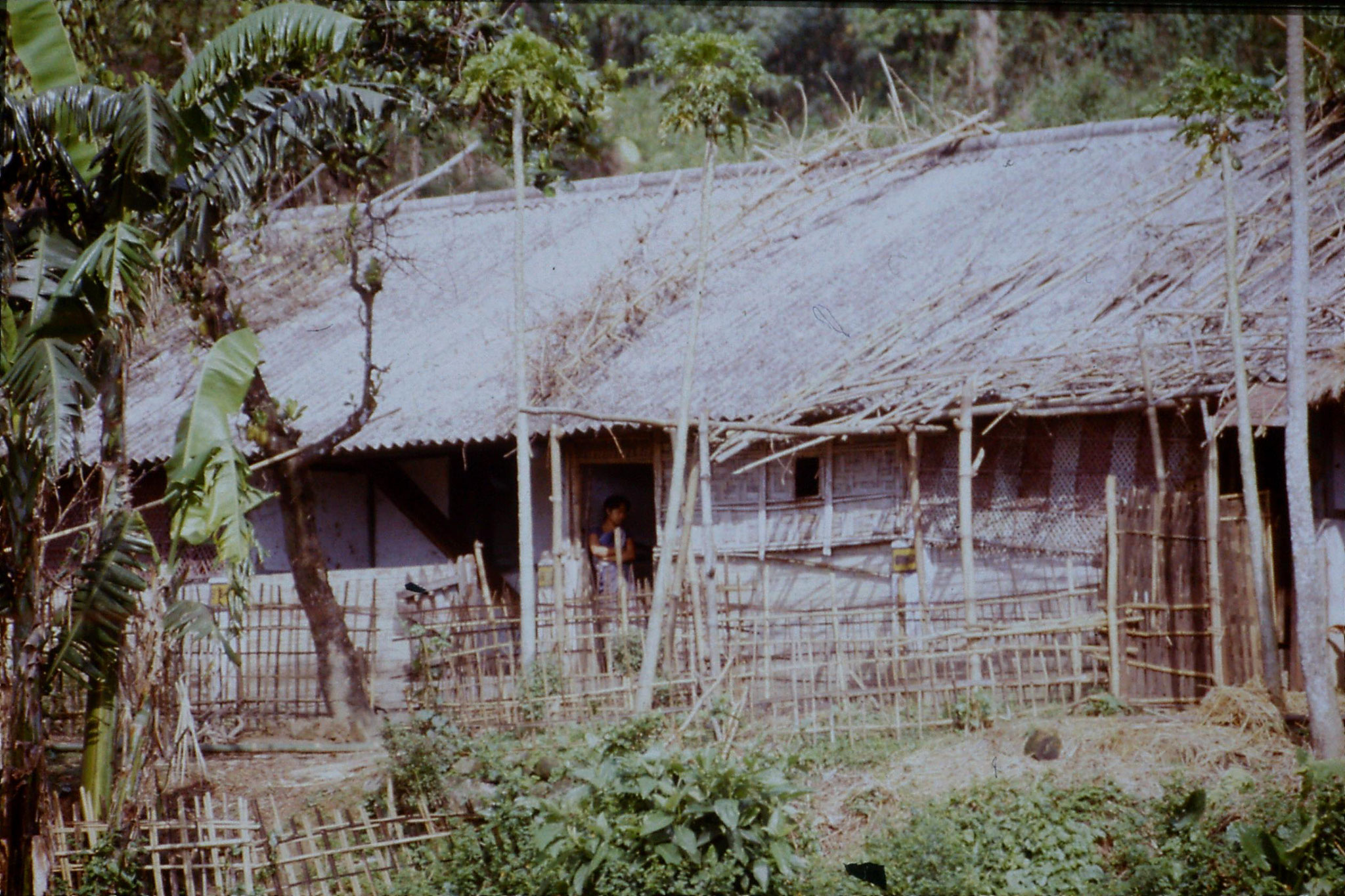 109/30: 12/4 house at Ditokcherra