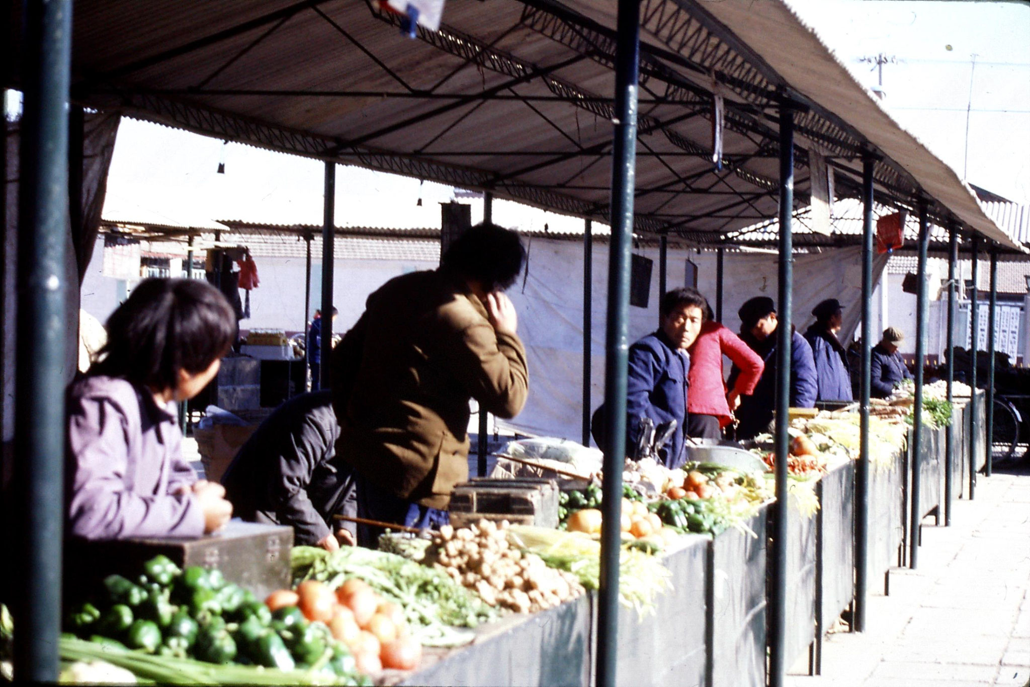 3/12/1988: 33: day trip to Shunyi