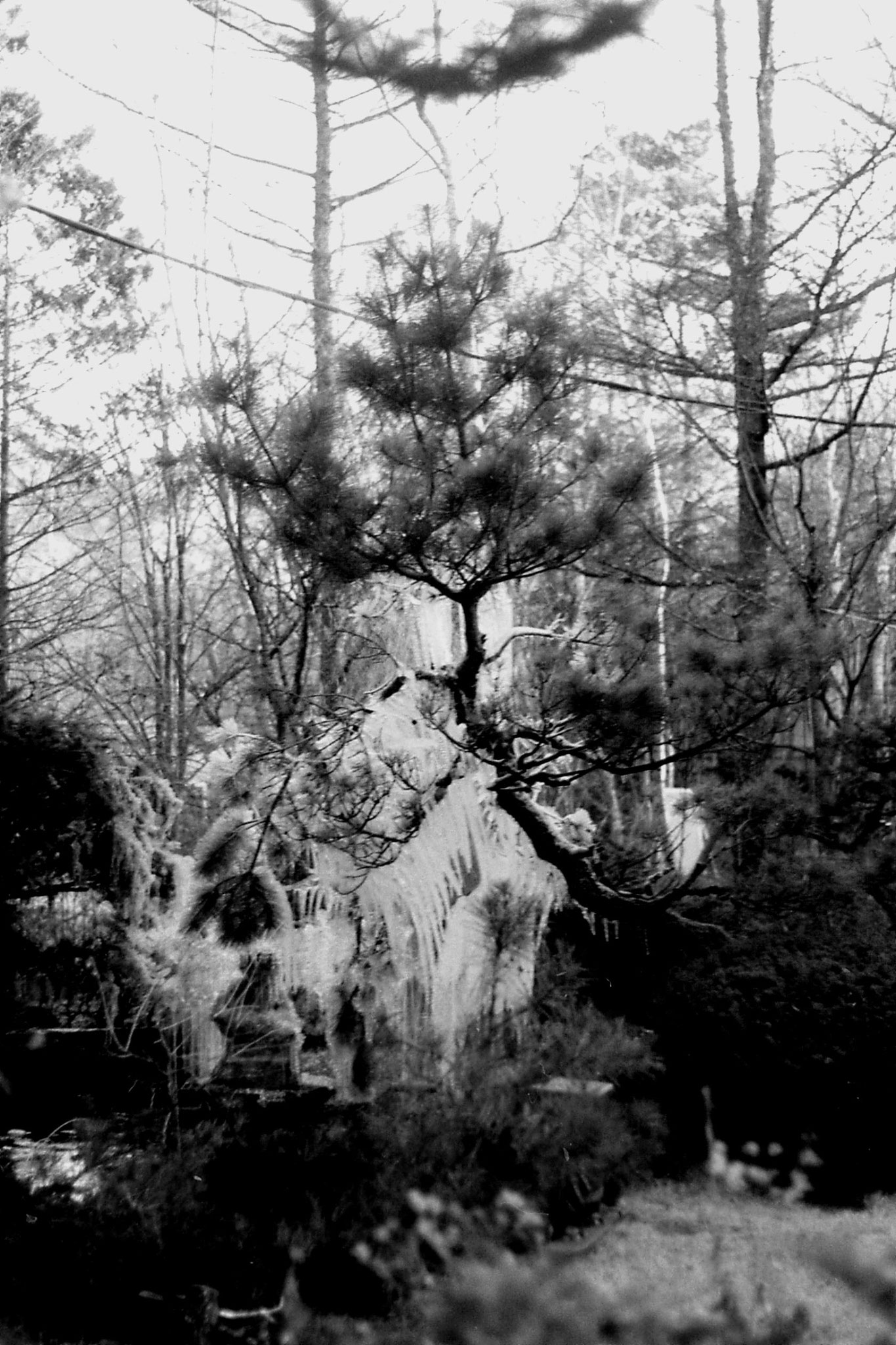 31/12/1988: 5: frozen fountain outside Youth Hostel