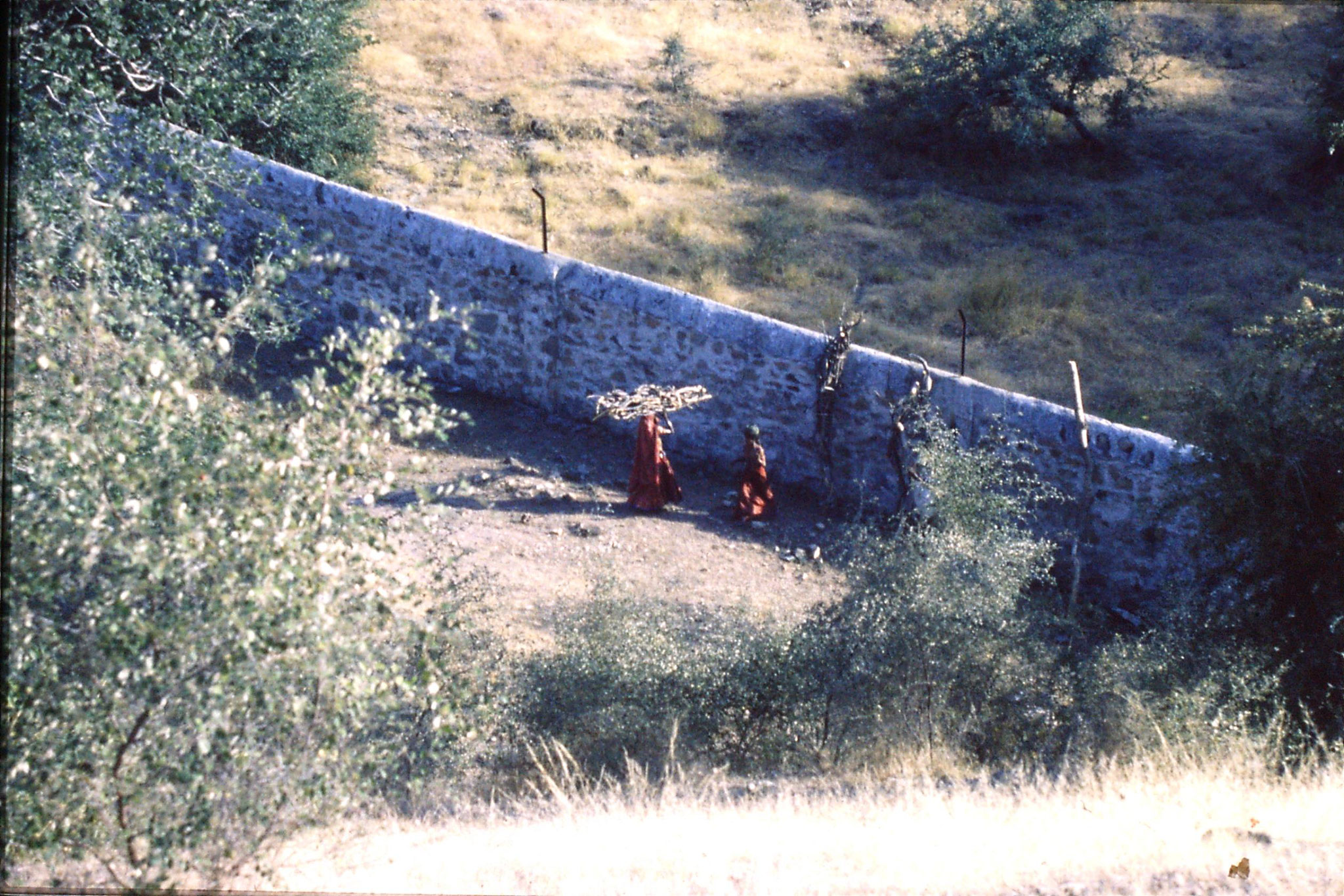 6/12/1989: 21: Ranakpur 