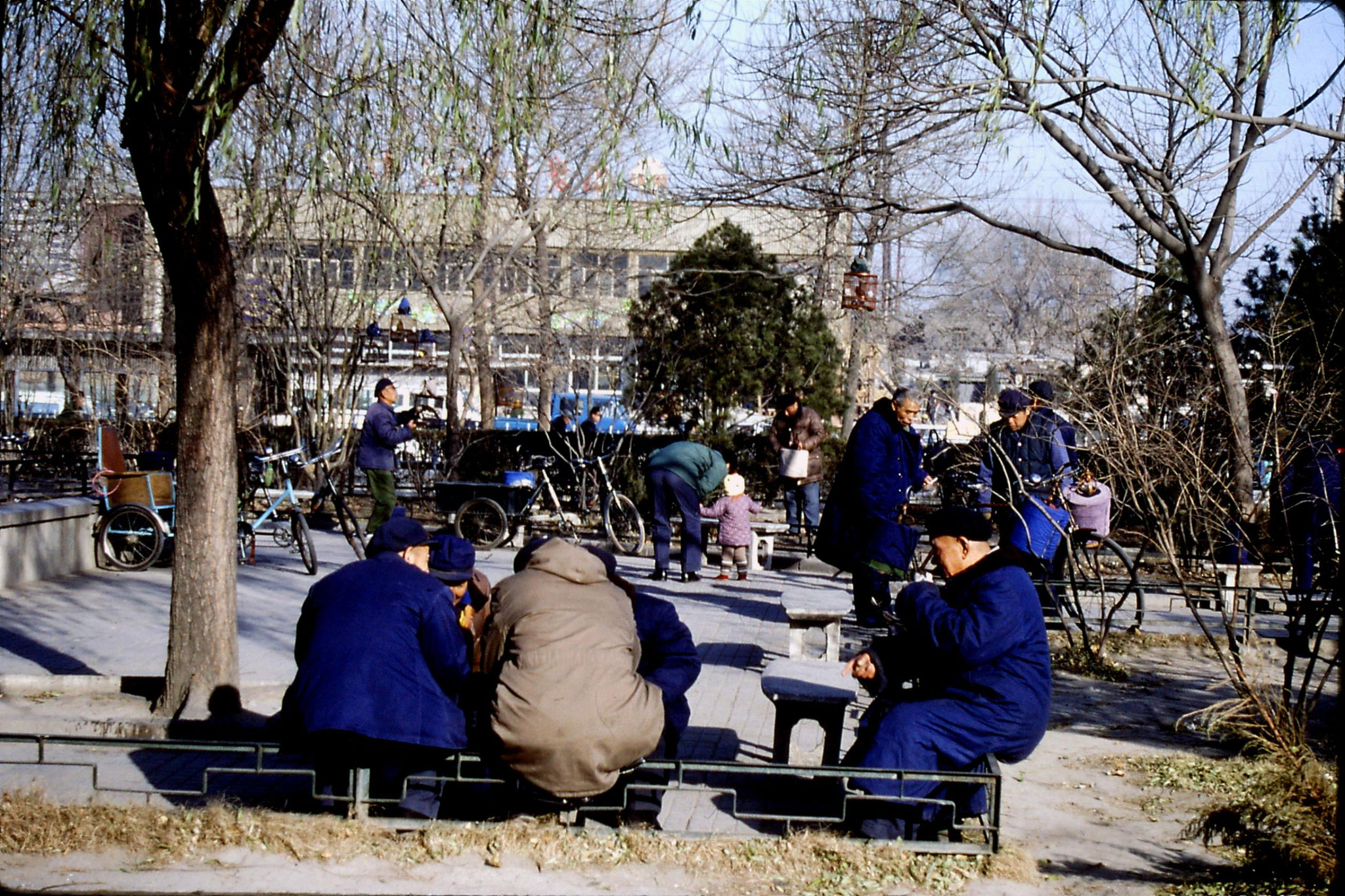 5/12/1988: 15: bird cages near China Photo