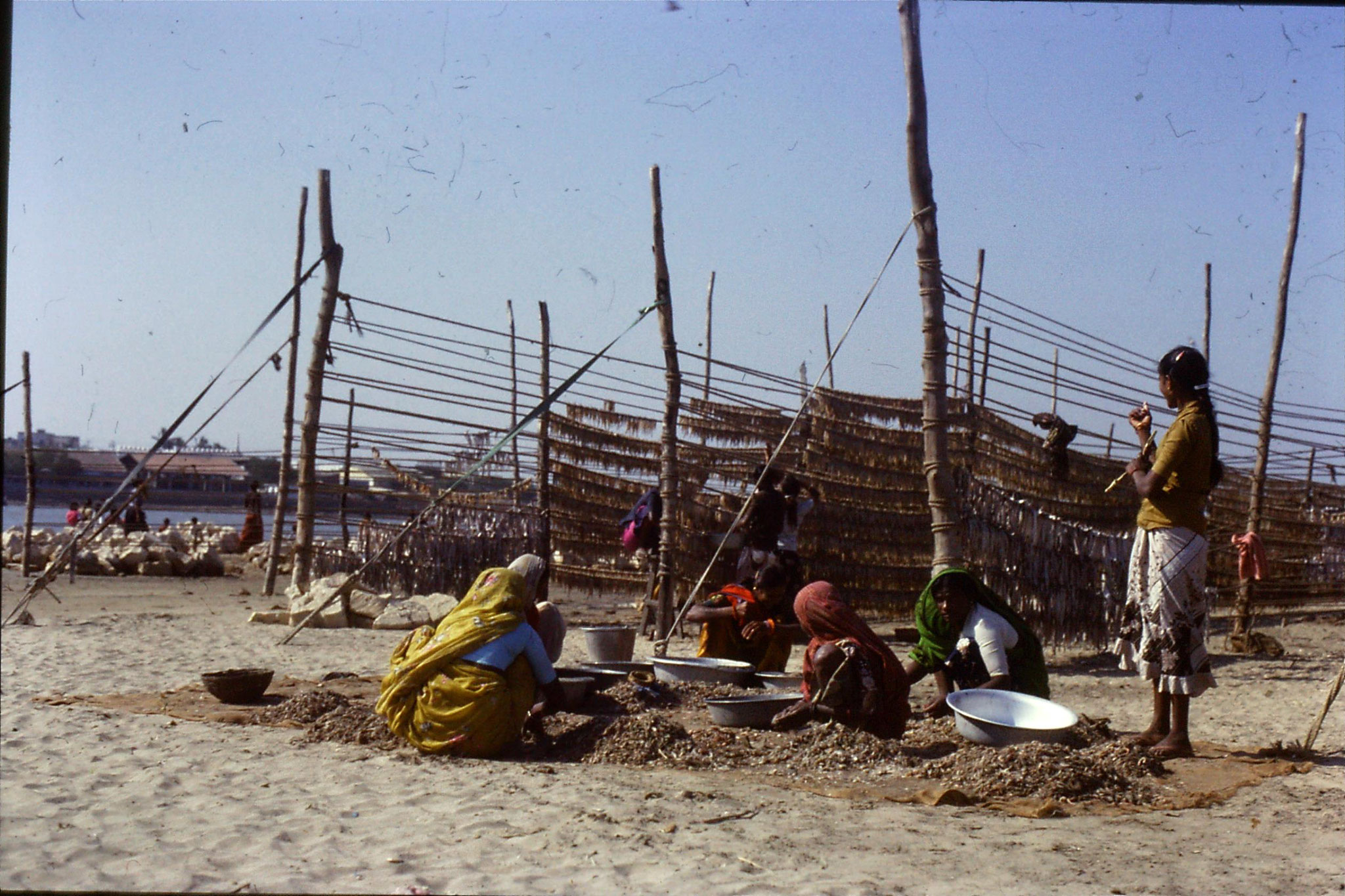 16/12/1989: 8: Diu Goghla fisherwomen