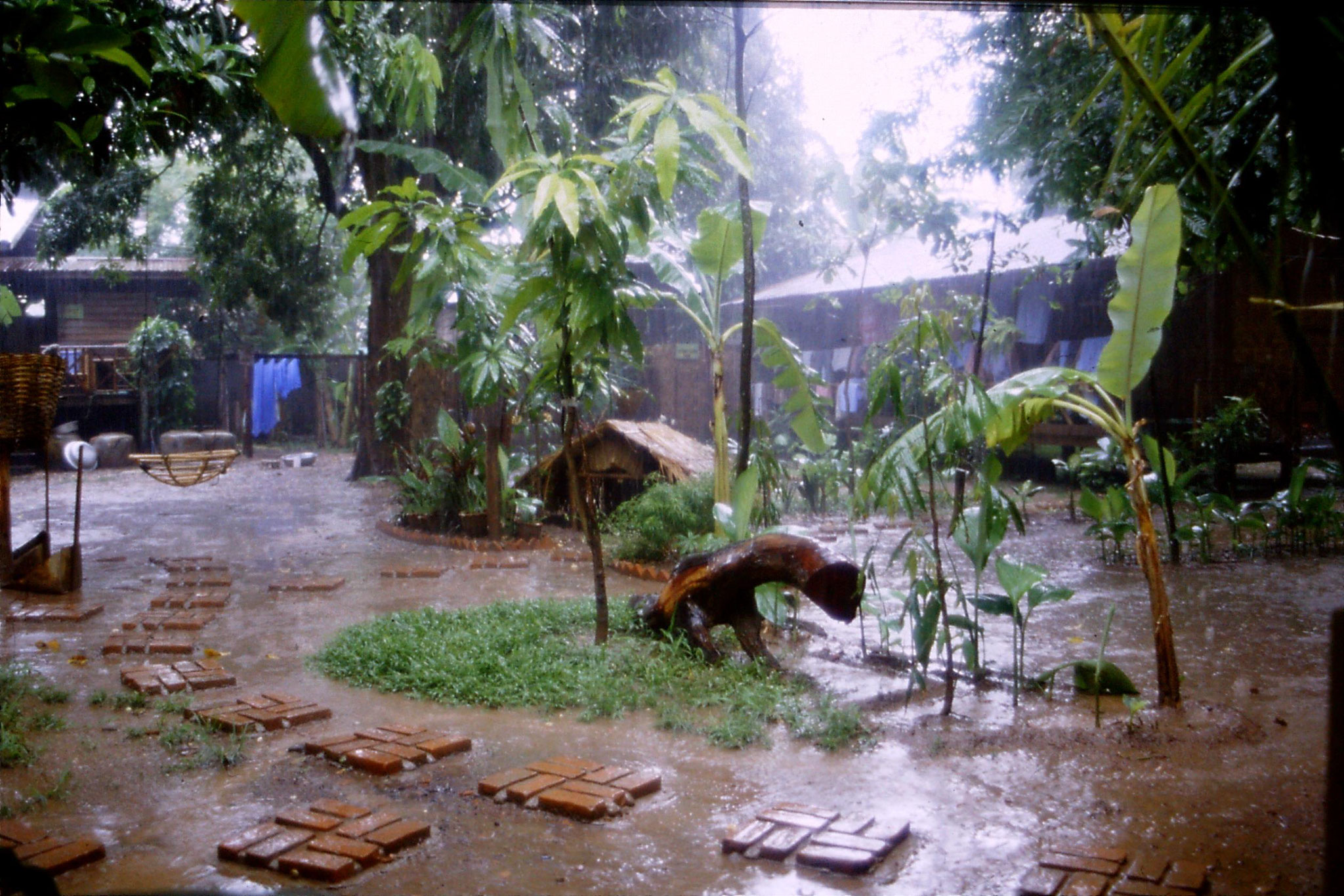 29/5/1990: 14: rain at Mut Mee guesthouse