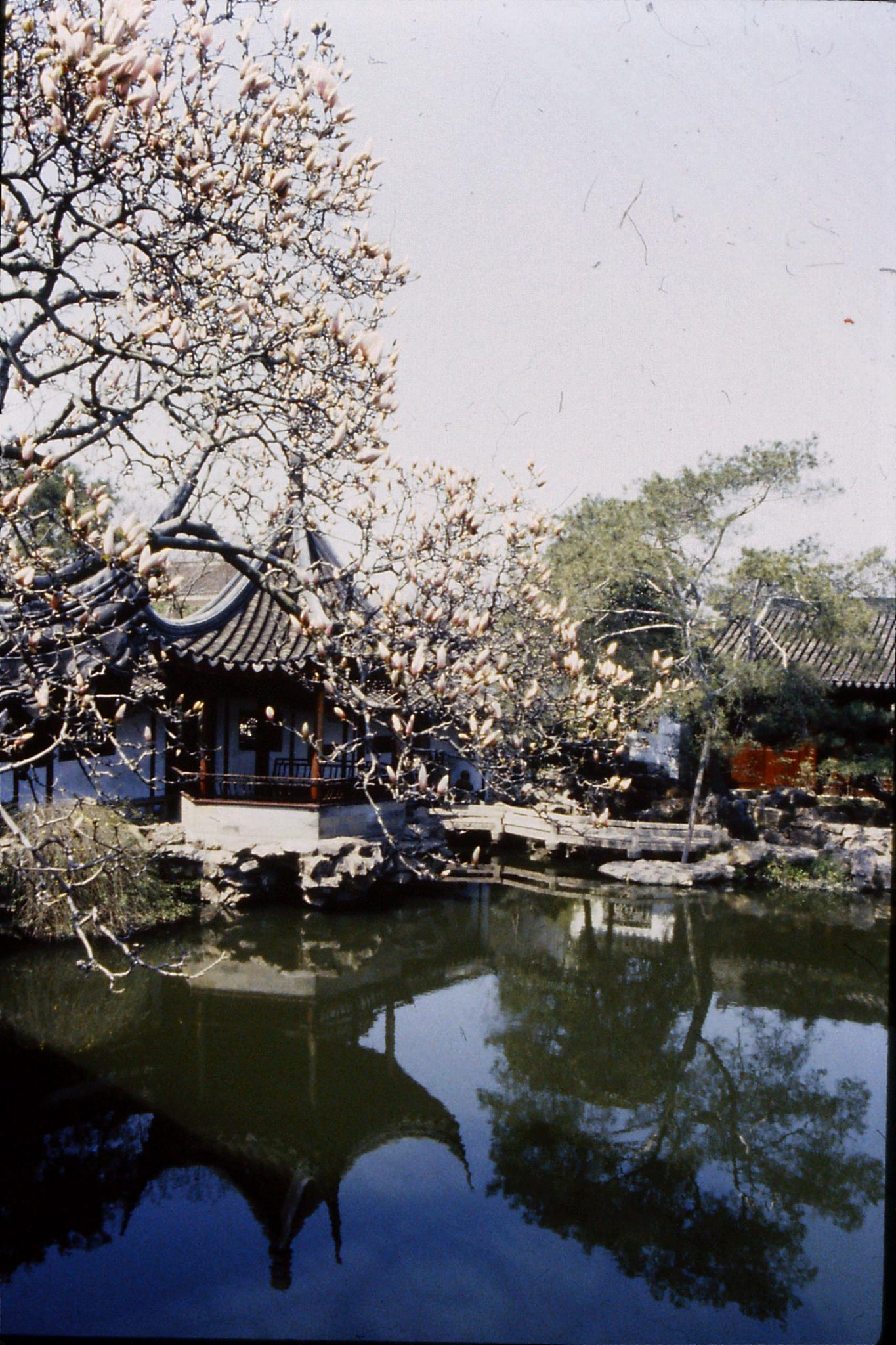 21/3/1989: 27: Suzhou Wangshi Gardens