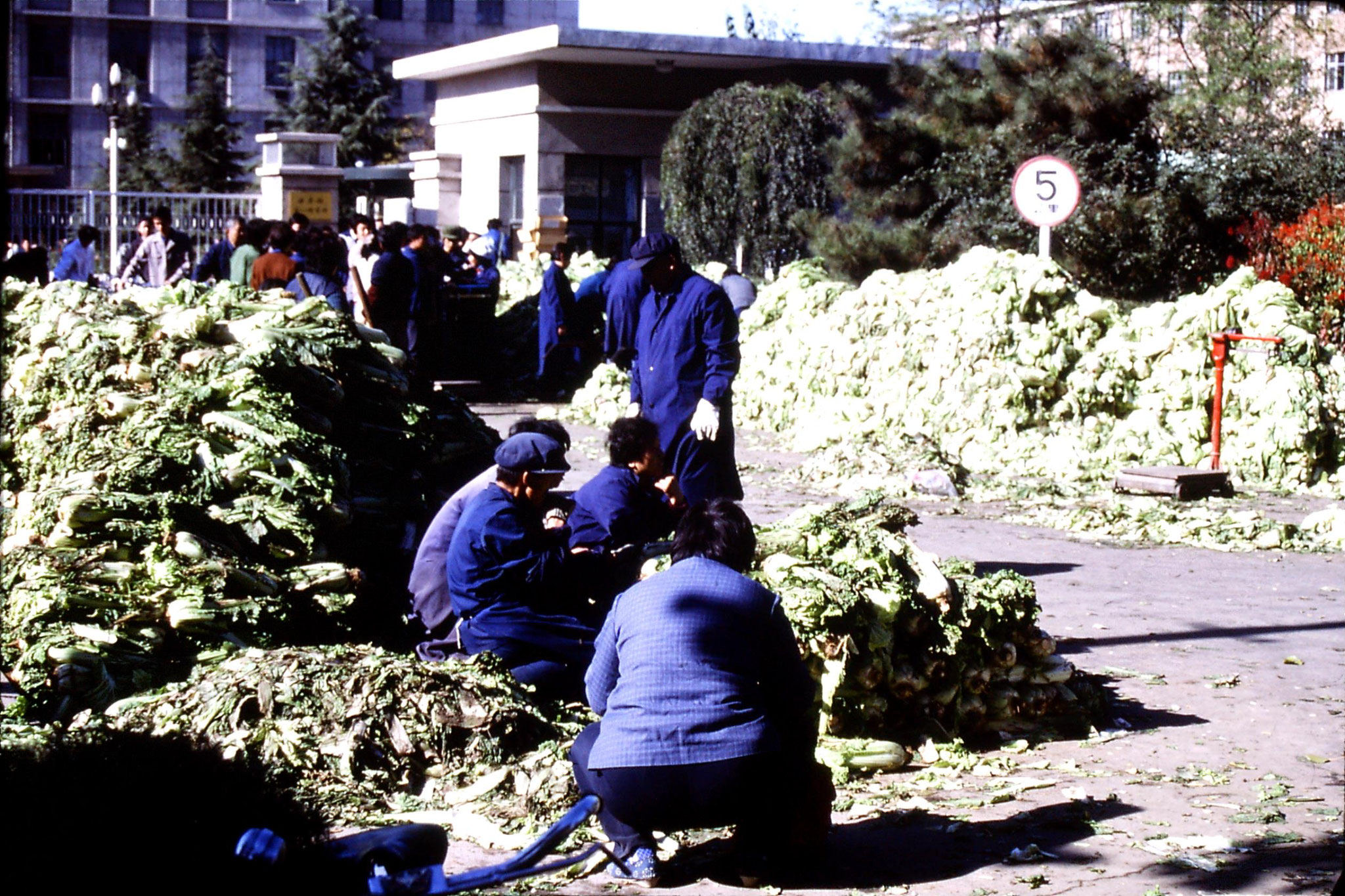 4/11/1988: 20: west Beijing cabbage sellers