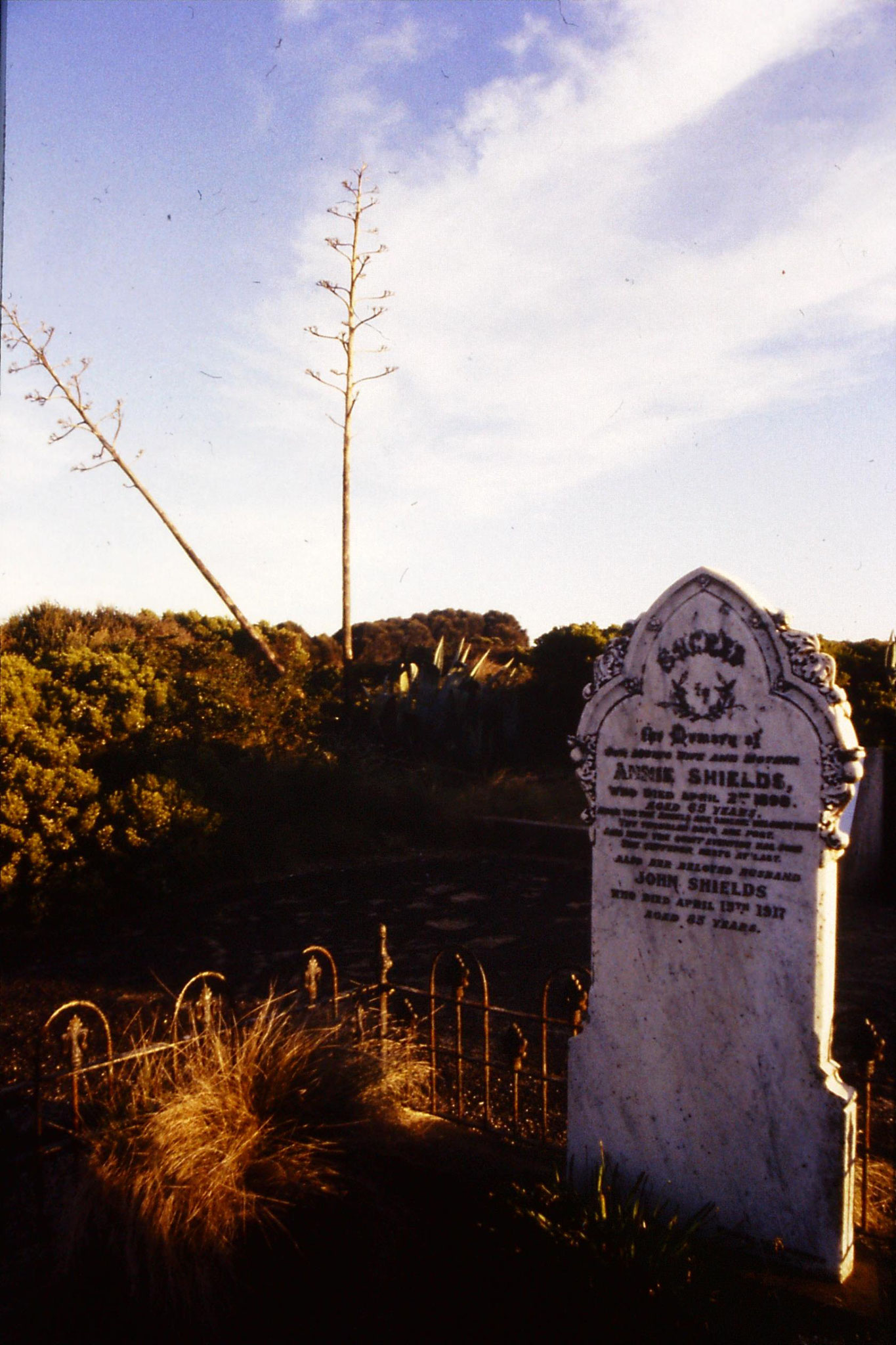 19/9/1990: 31: loch Ard graveyard