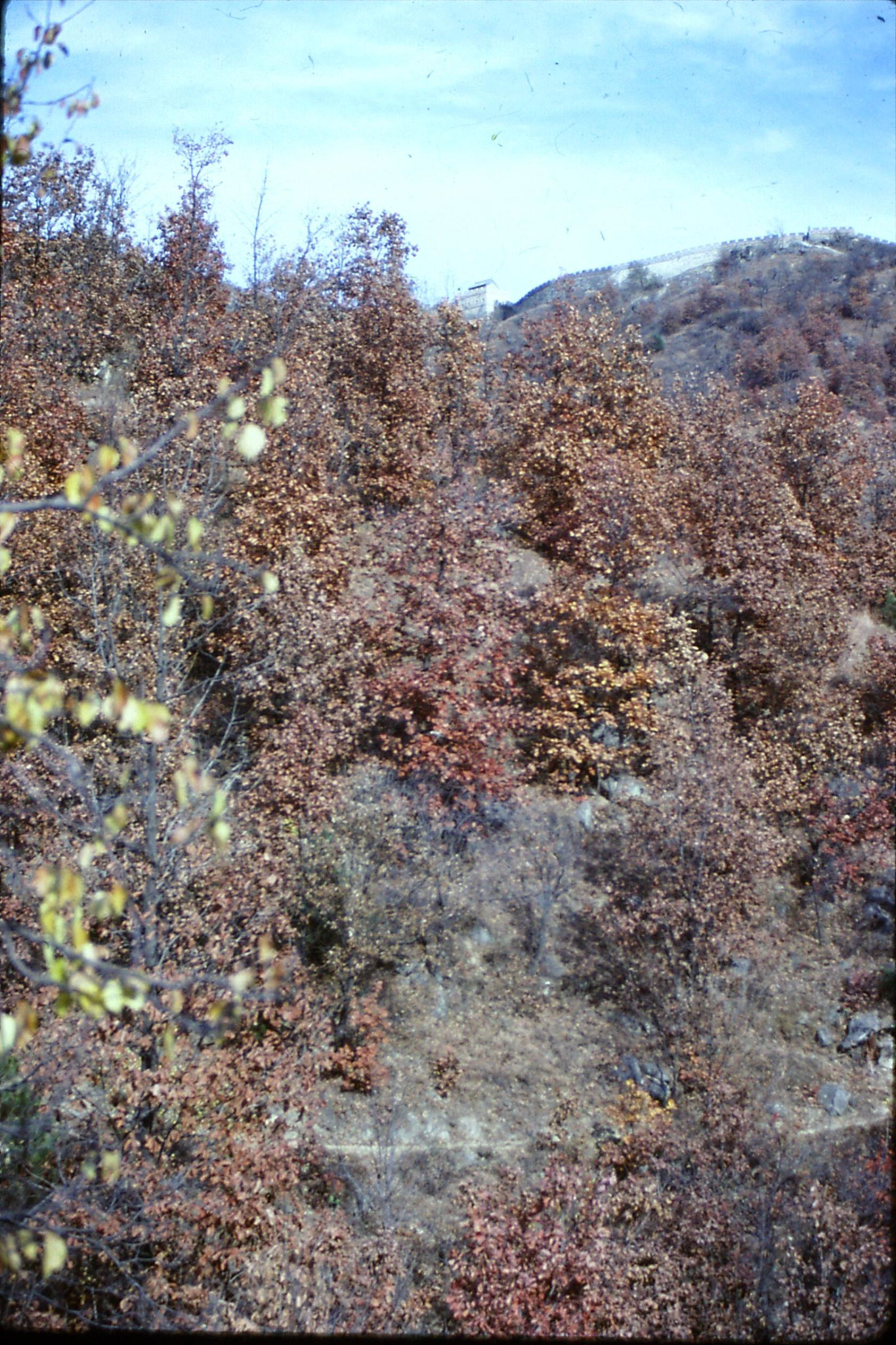 13/11/1988: 27: Great Wall at Mutianyu