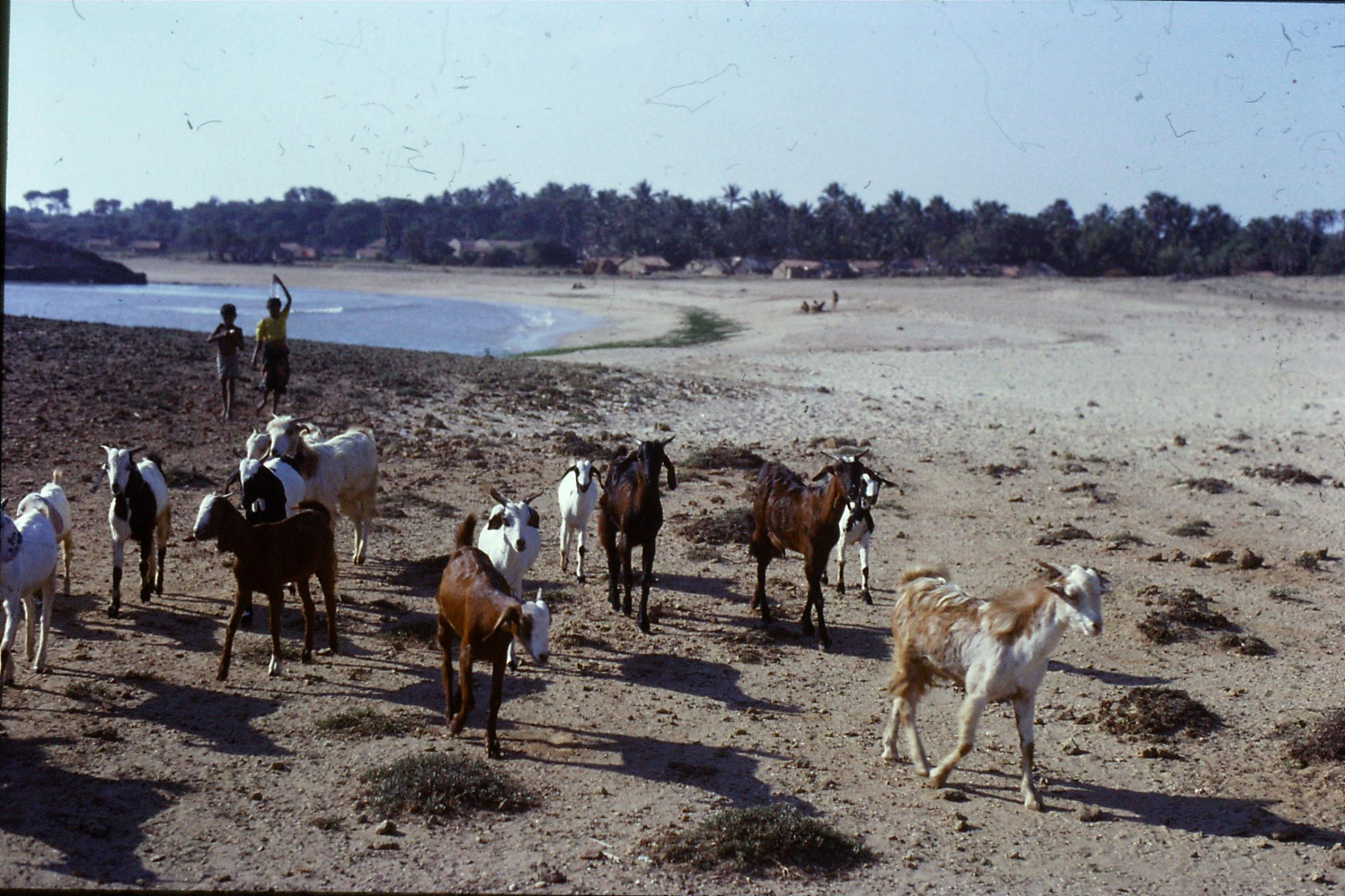 15/12/1989: 5: Diu, Nagoa Beach 