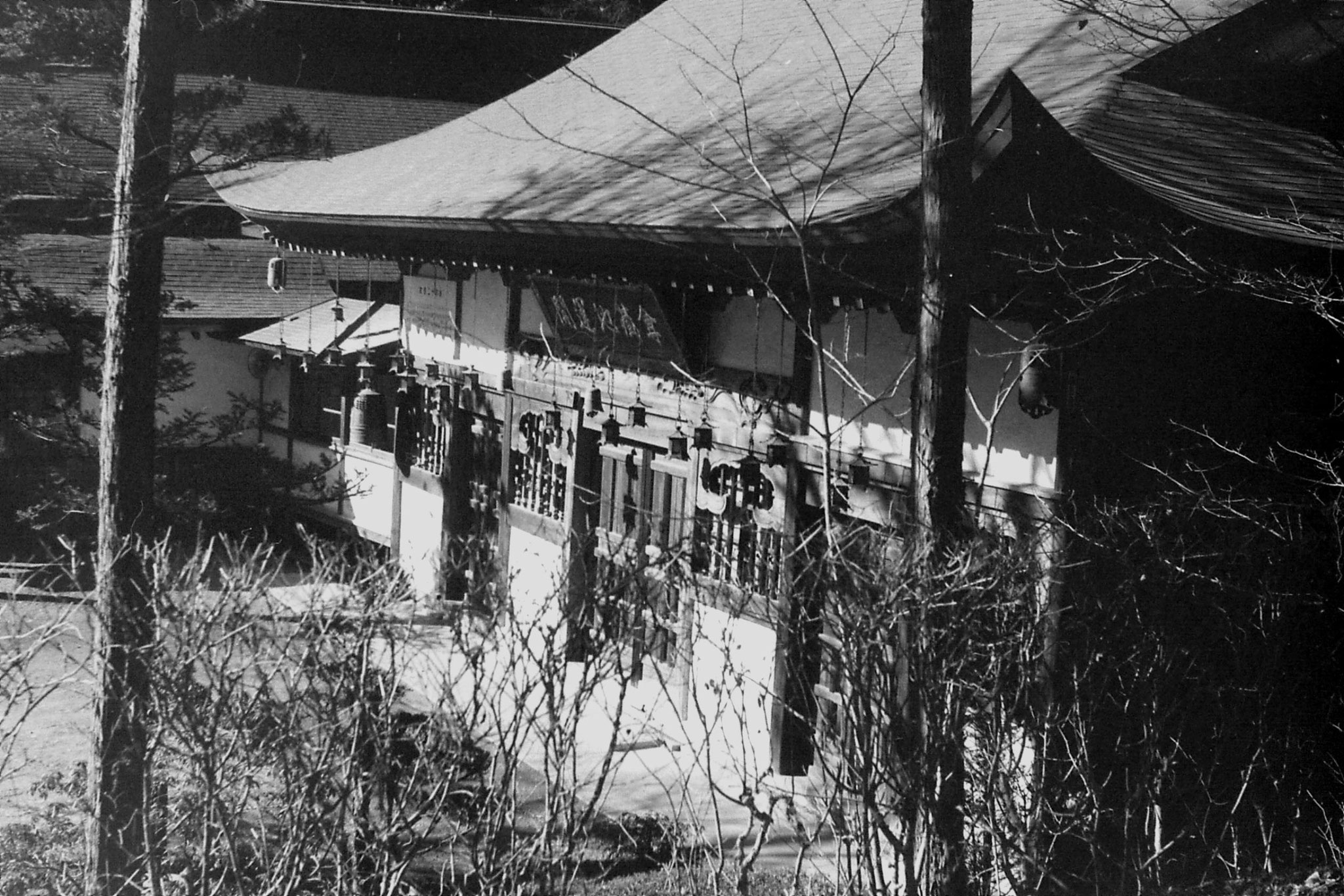 30/12/1988: 33: Mt Fuji: Five Lakes area - Yamanatako - Kaiunzan Temple