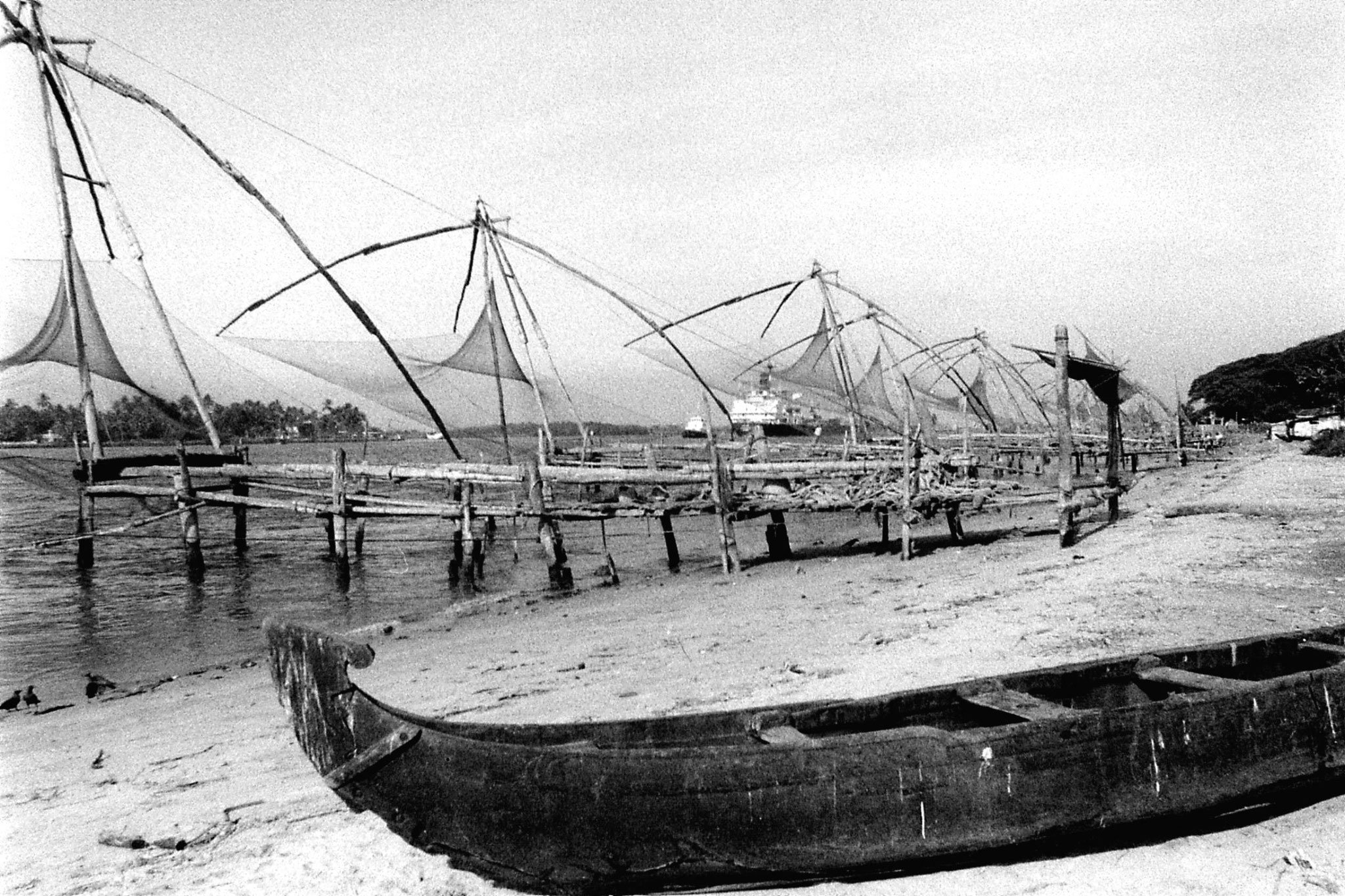 25/2/90: 7: Cochin dolphins and views of Fort Cochin