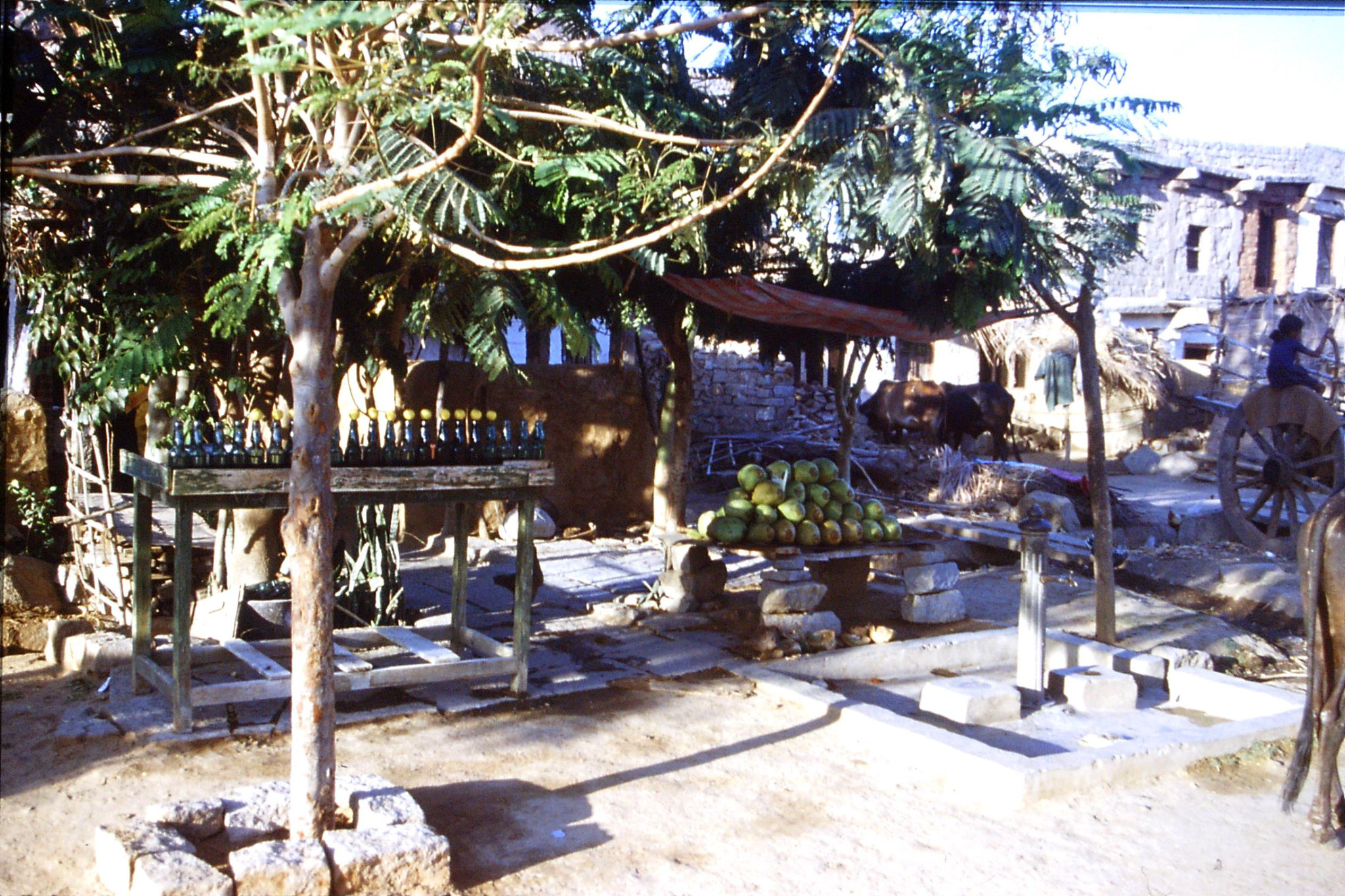 108/28: 20/3/1990 Hampi - cocnut and homemade lime soda stall